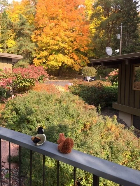 New Friends Looking for Fall Colors... and Adventure