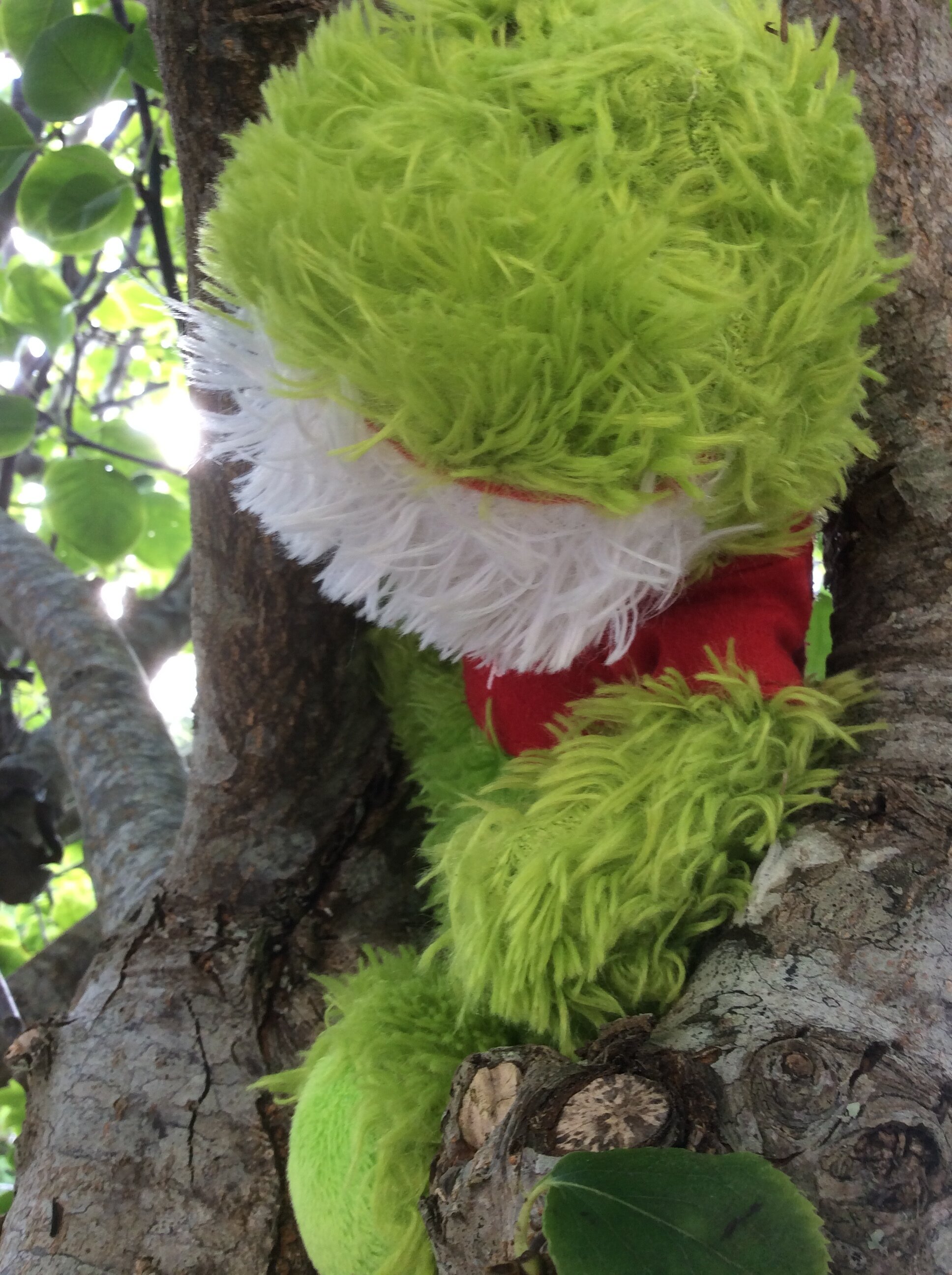 Froggy Finds a New Hobby