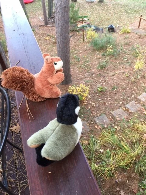 Diving Events- Round 1