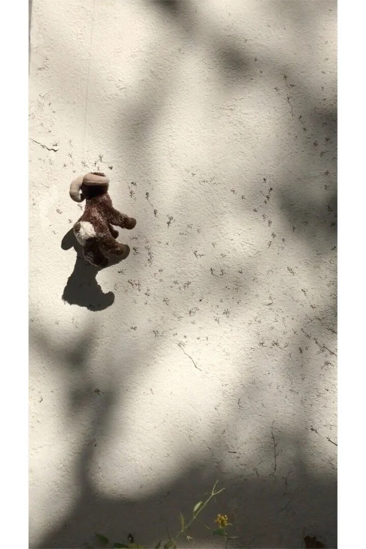 Stuffies Rock!  (Rock Climbing Round 1)