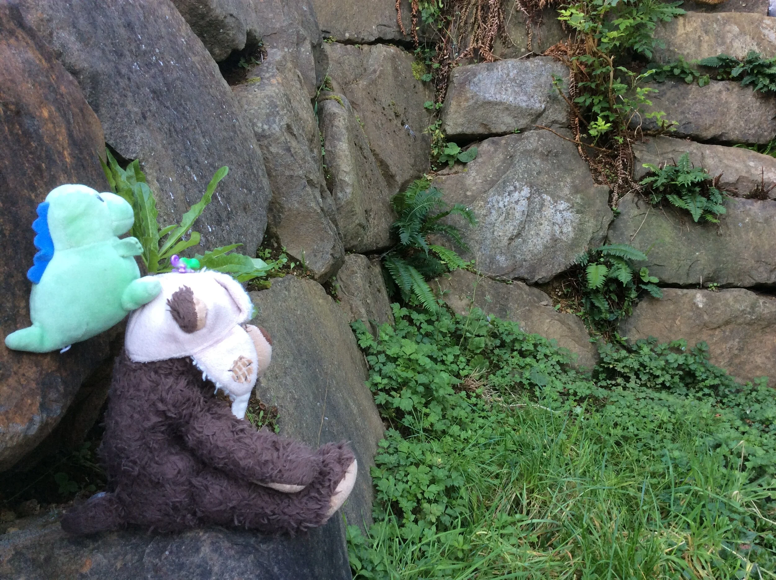 Rock Climbing- Oregon Coast
