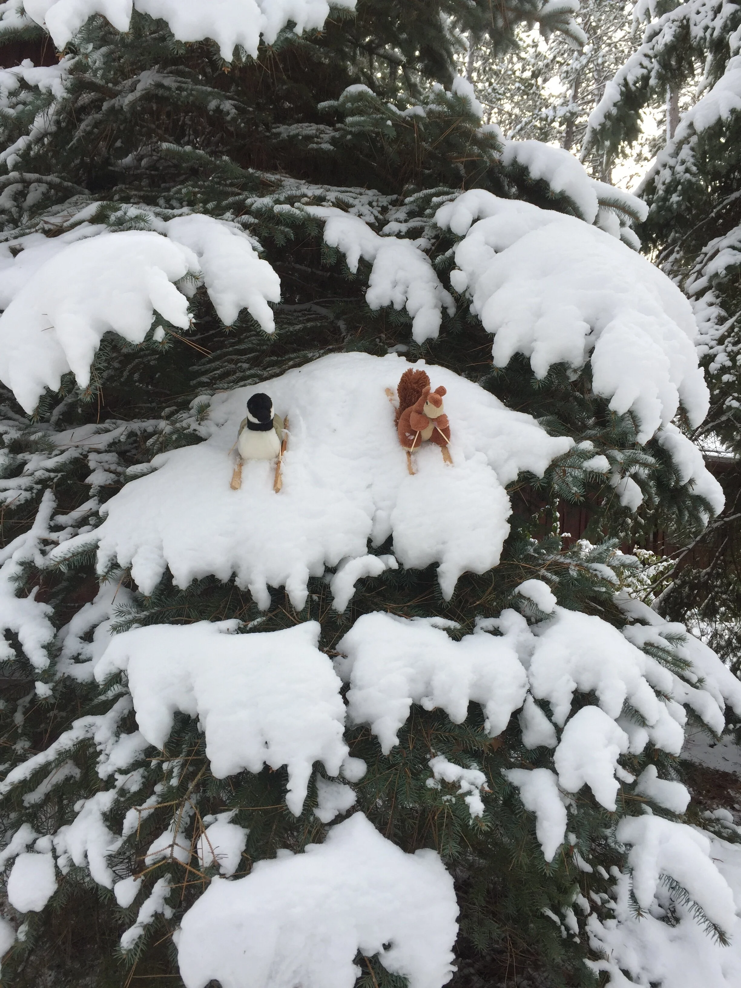 Hooray for Snow Days!