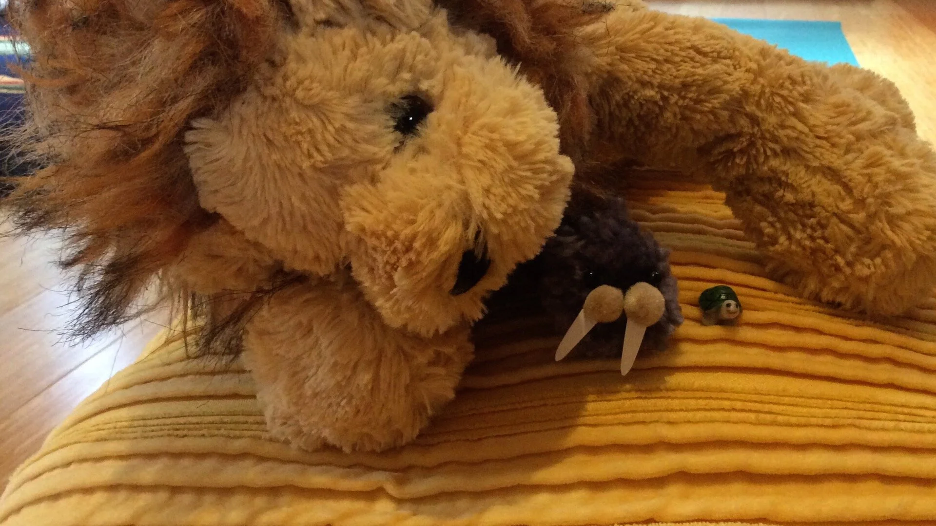 Competitive Sleeping at its Finest