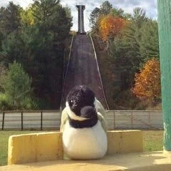 Ski Jumping- MN edition