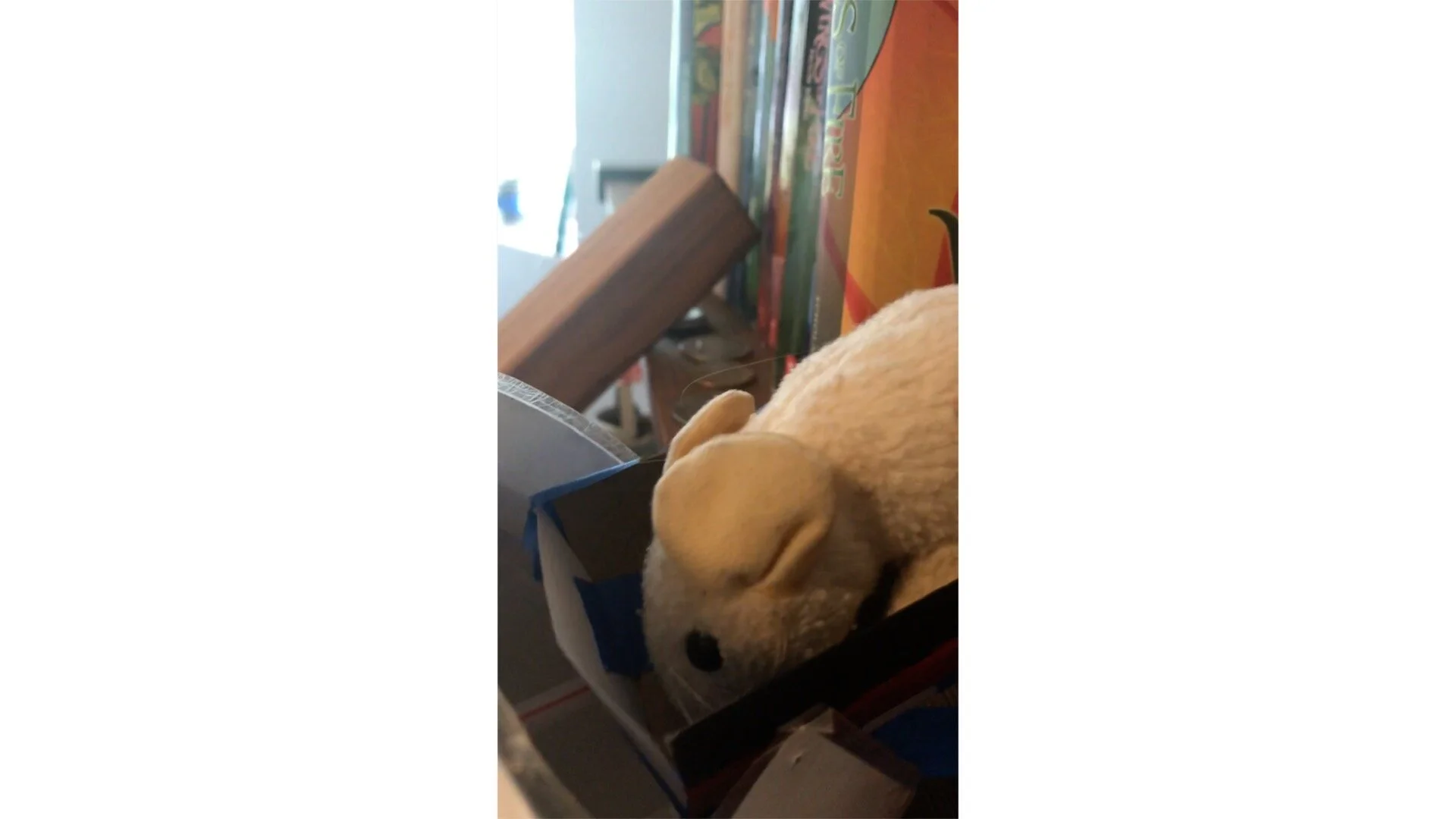 Final Bobsledding Round