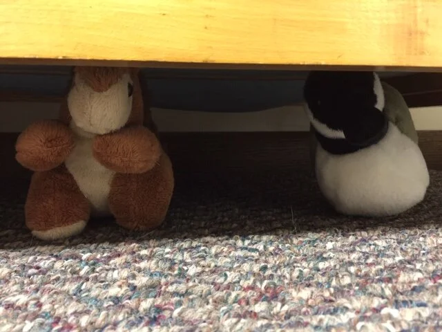 Amelia and Scottie Make the Most of Their Stay-cation