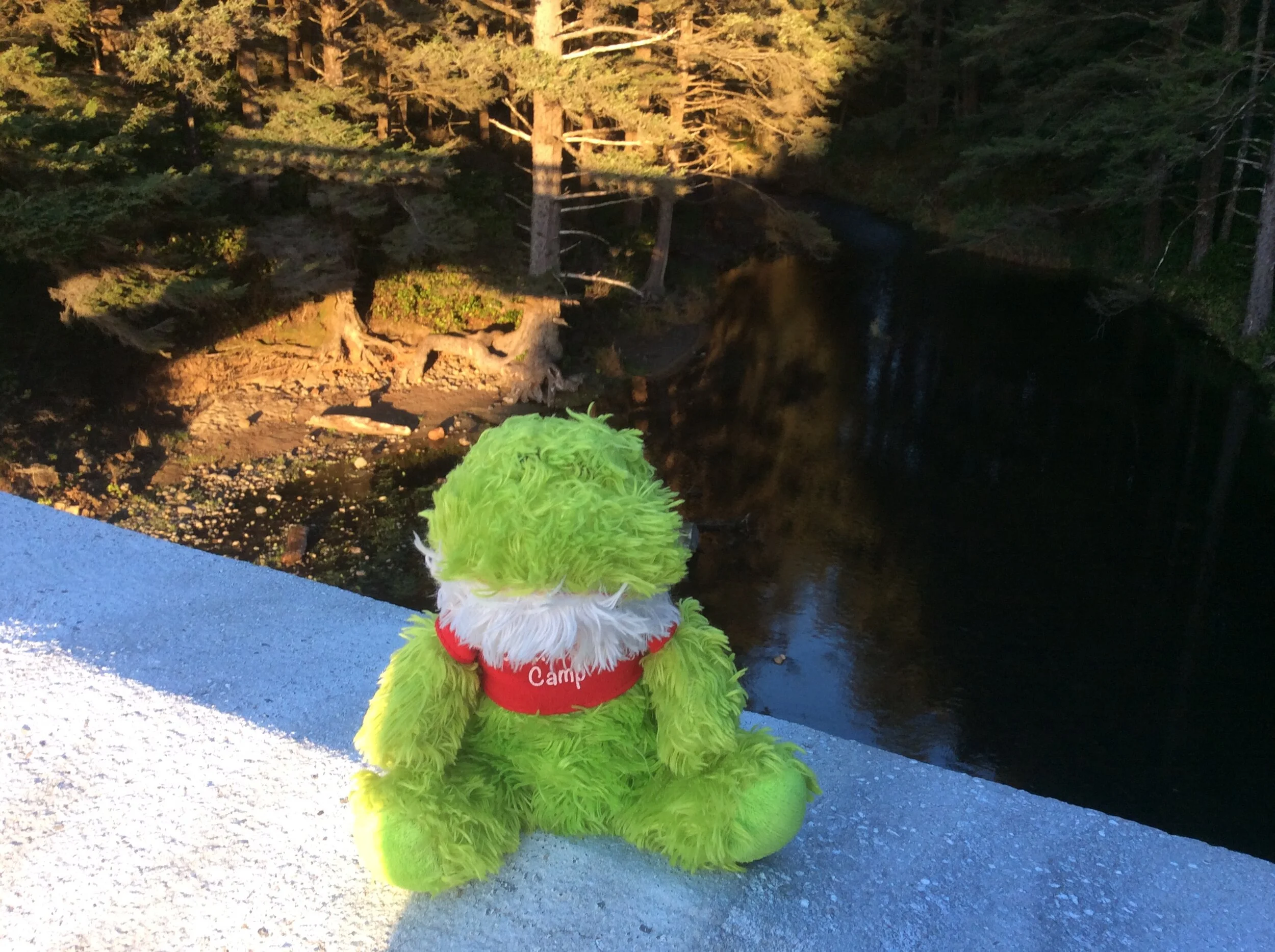 Froggy Has a Narrow Escape