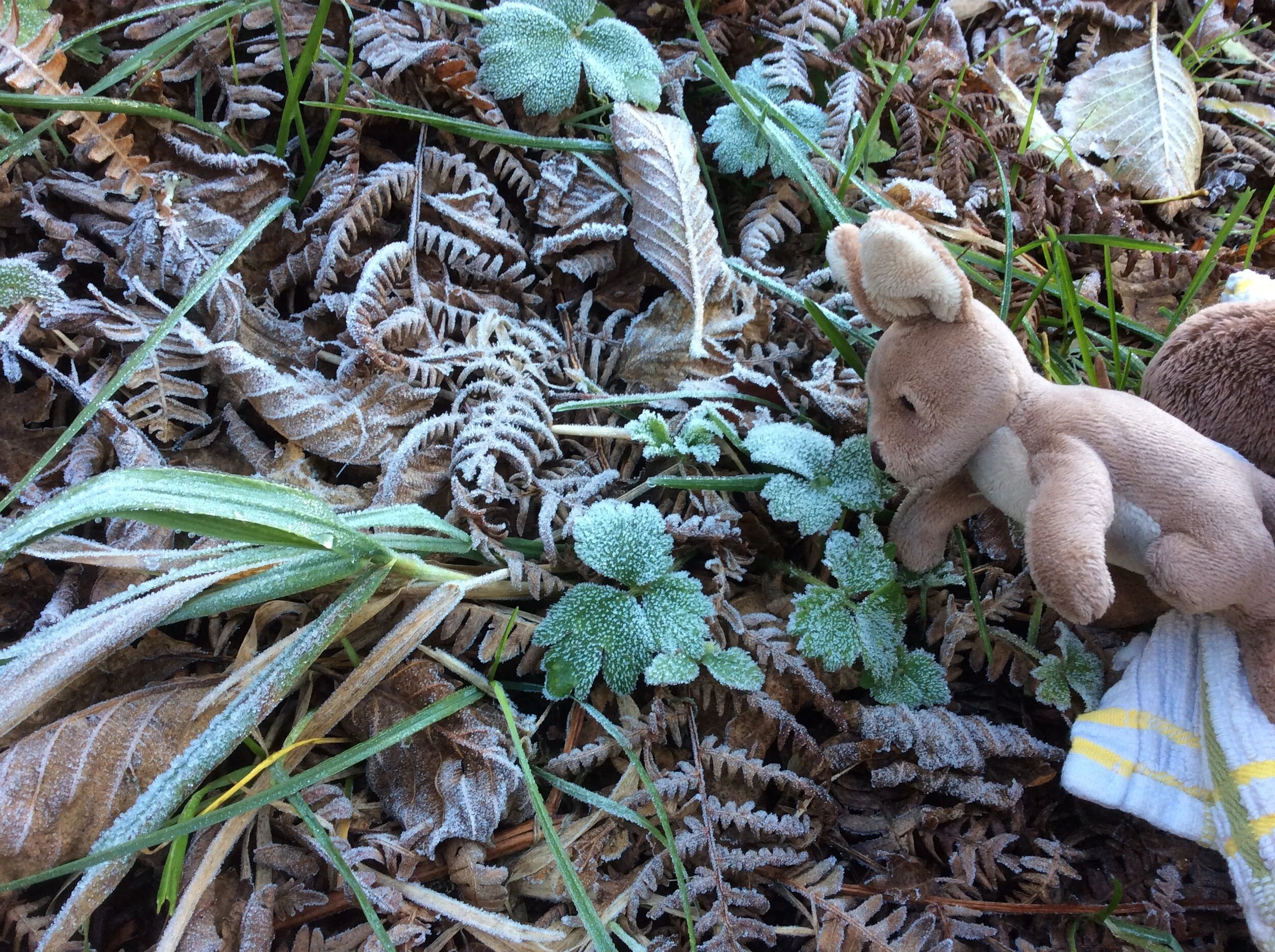 Fajita Asks a LOT of Big Questions