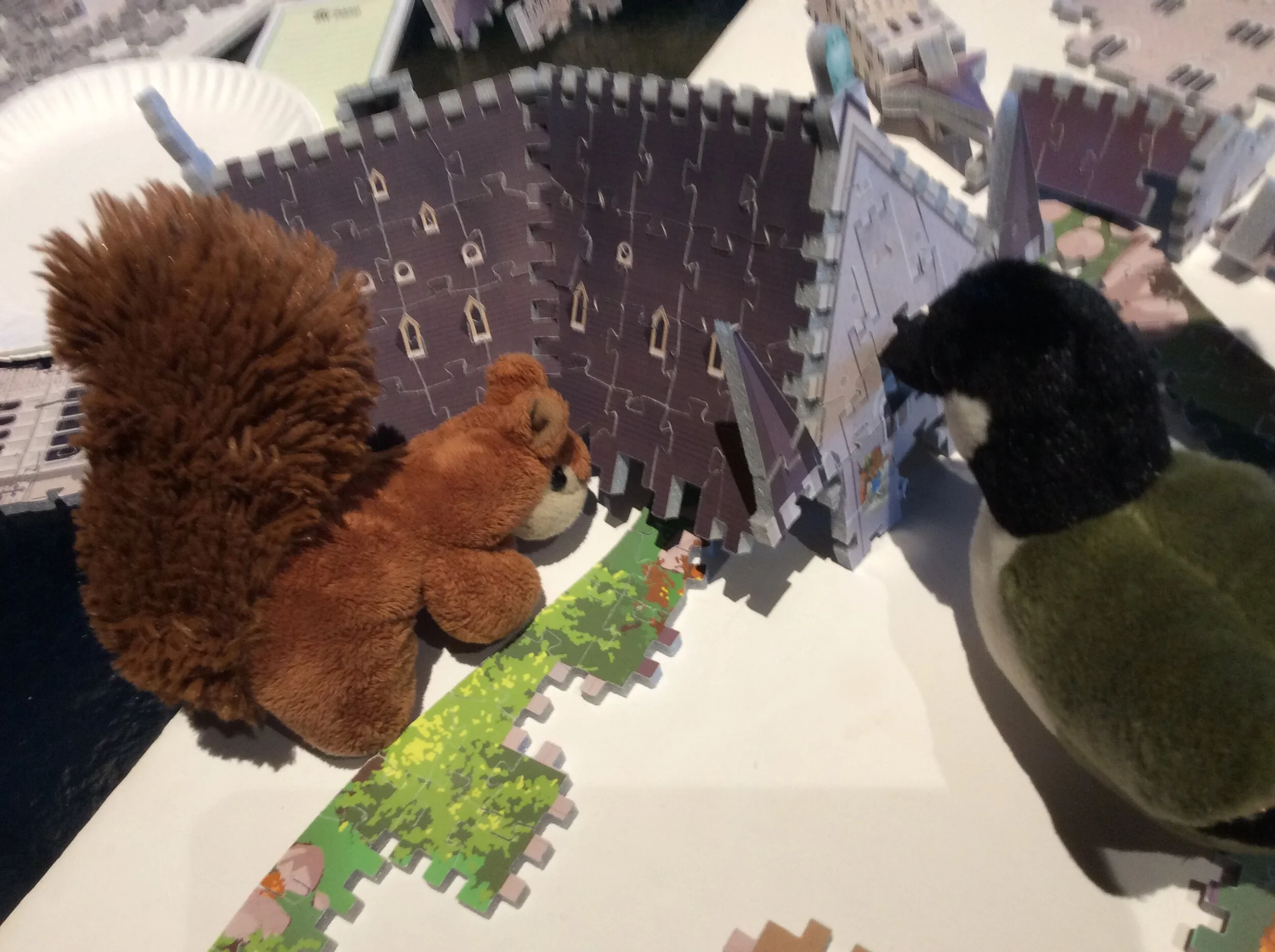 Amelia and Scottie Make a Puzzling Discovery