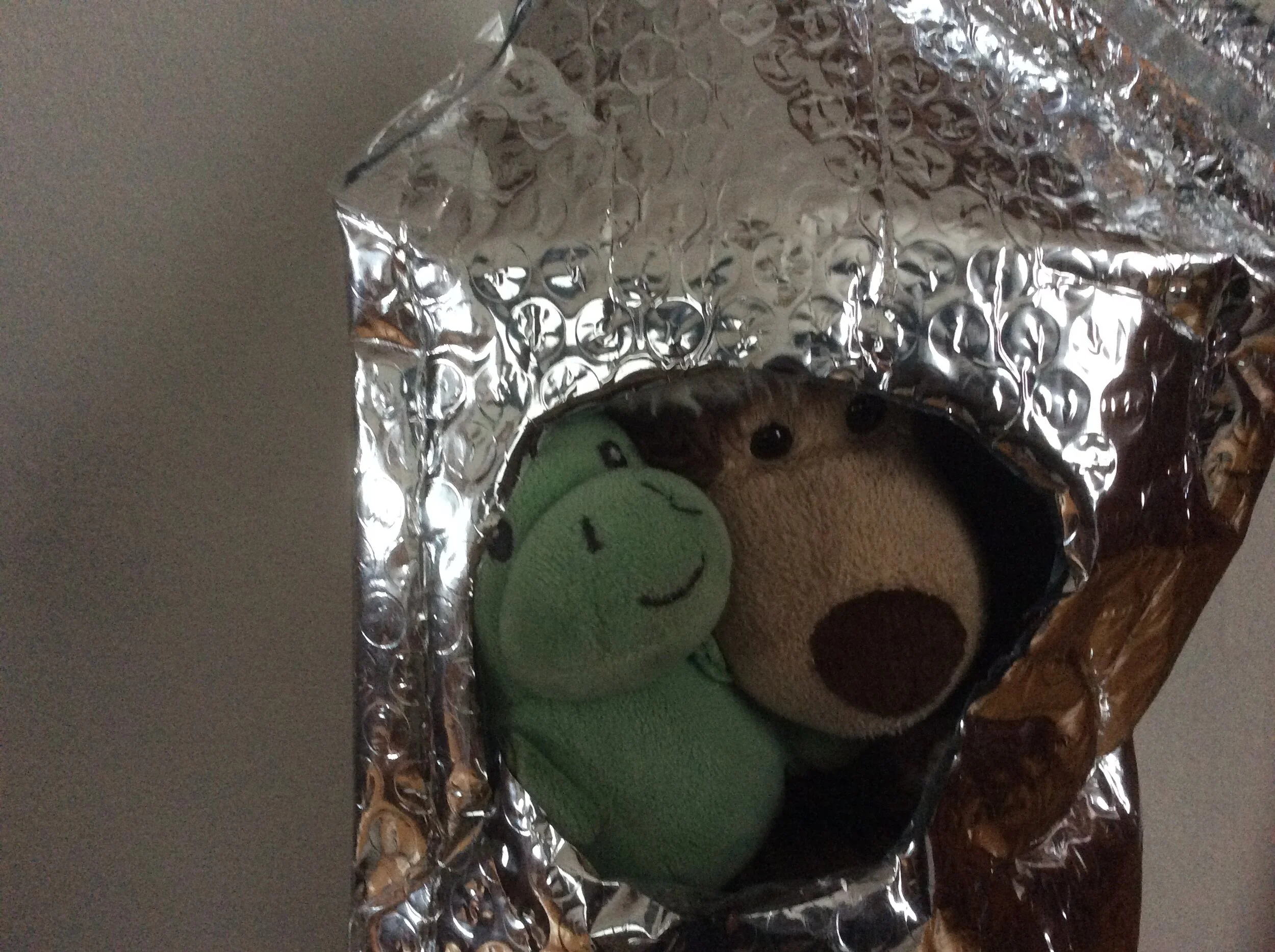 Rare Mountaineering Footage of Taco &amp; Yeti