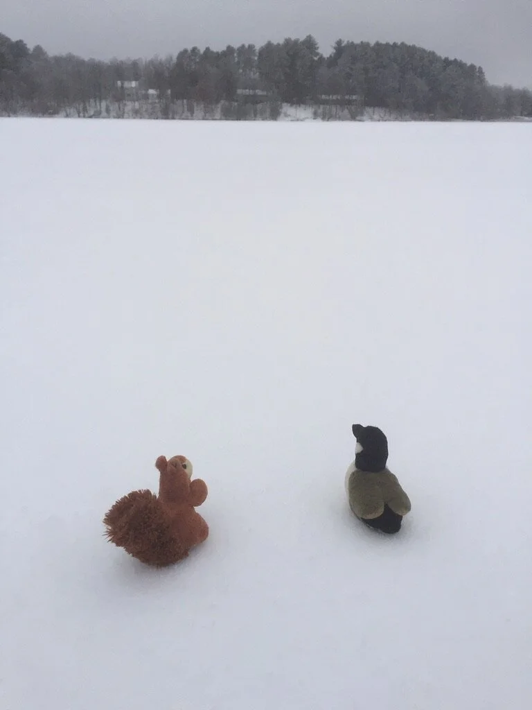Amelia Airheart and Scottie Disappear for a Snowy Adventure