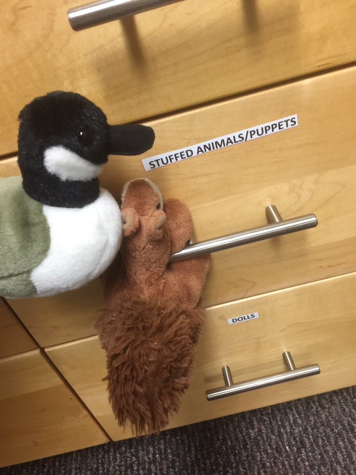 Amelia and Scottie to the Rescue