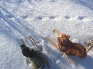 Mysterious Tracks Found on the Lake