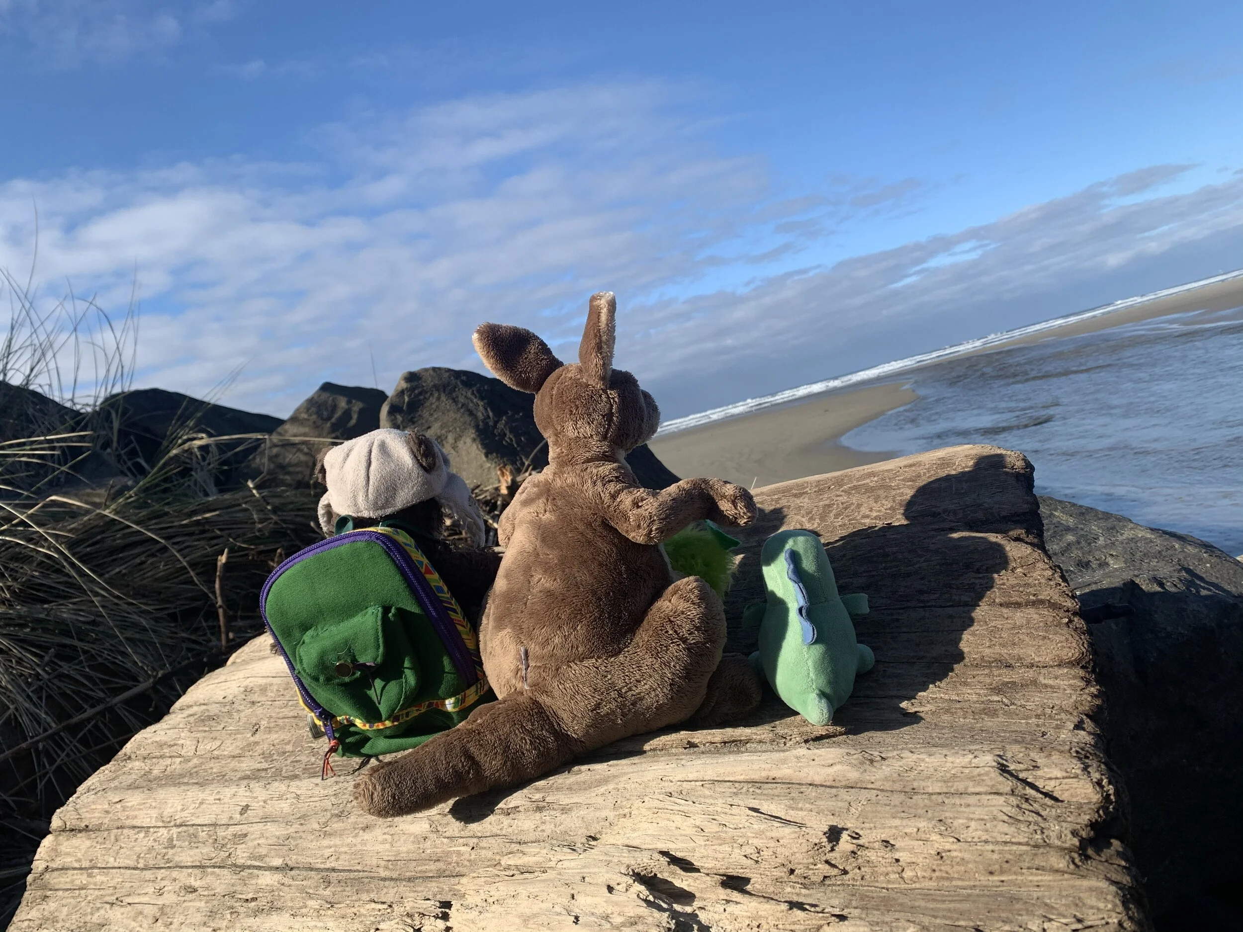 A Million (or so) Fun Things to do at the Beach