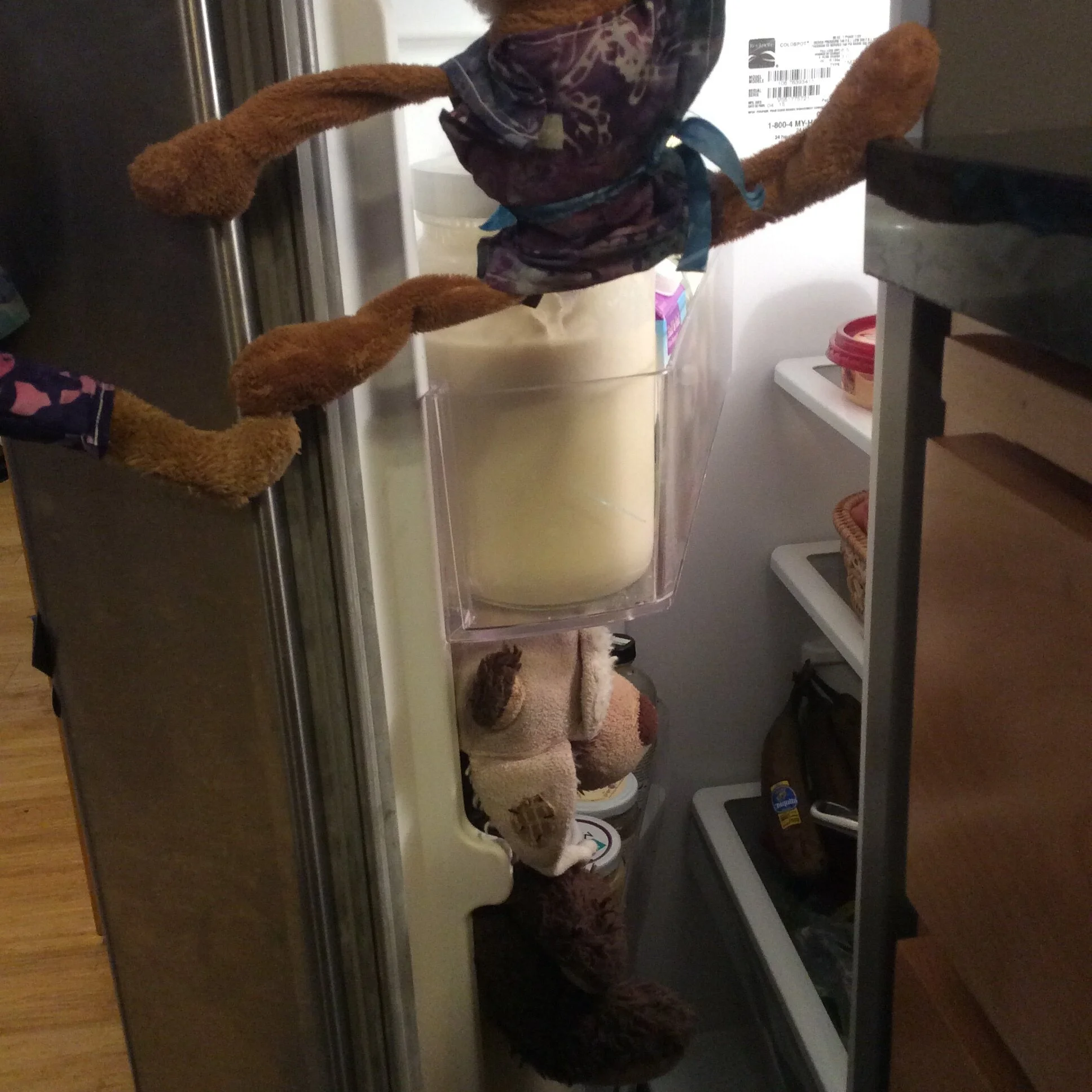 A Kitchen Raid Yields Disappointing Results