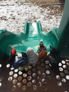 Stuffies Take Advantage of the Brief Thaw