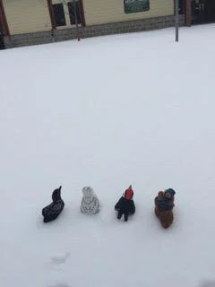 Amelia Takes Off... And the Search Party Gets Distracted