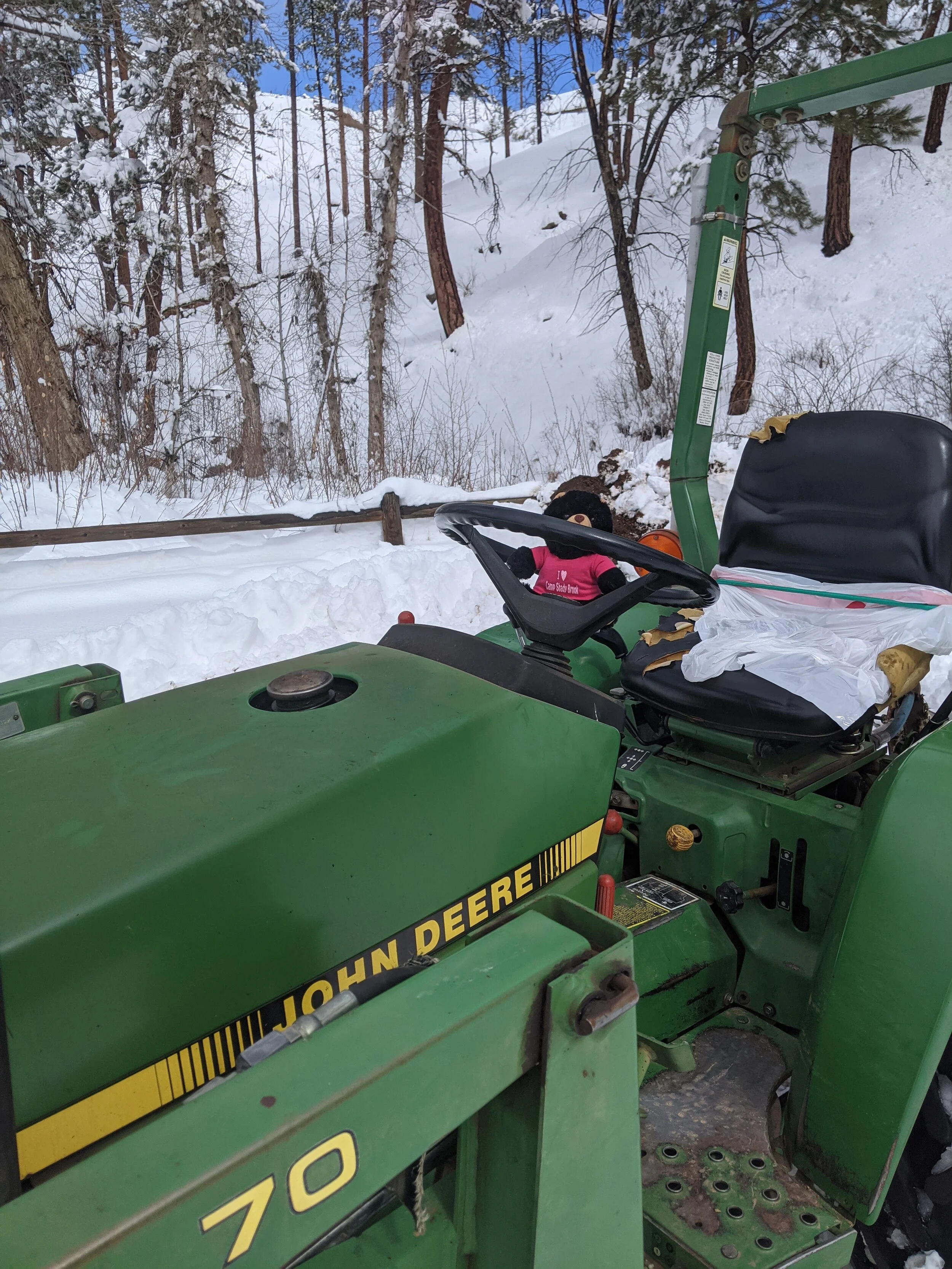 Stuffies Are Taking Over?