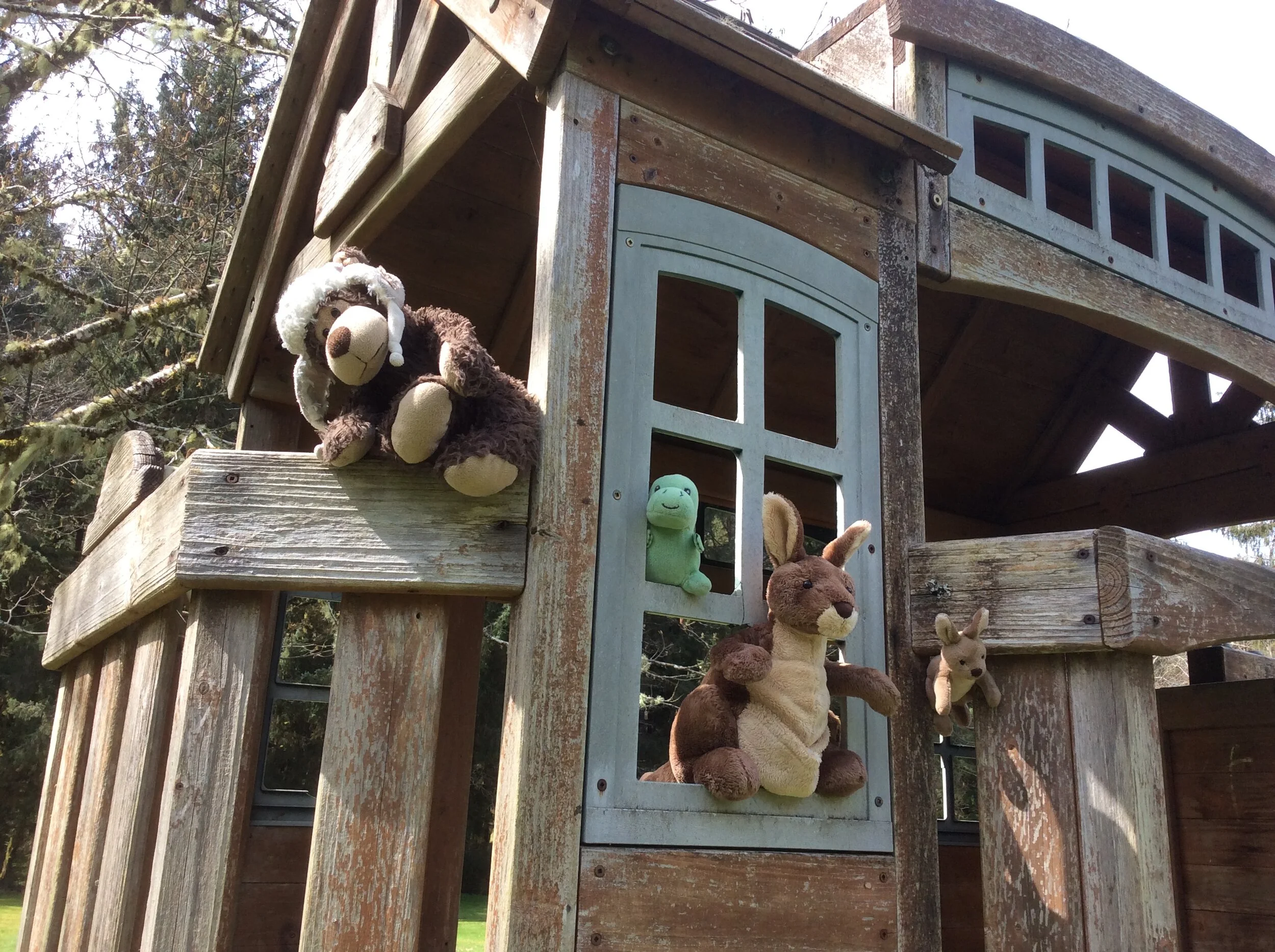 Signs of Spring?  They Must Be Kidding!