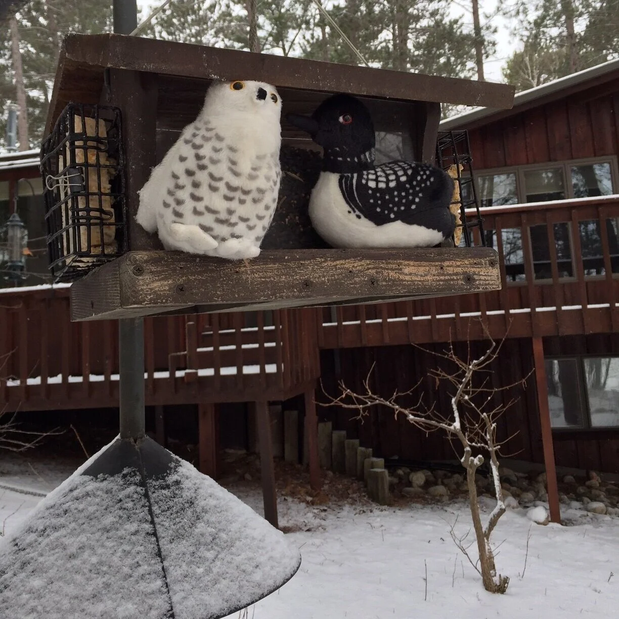 Wait... What Season is it, Exactly?