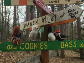 Spring Time Scouting