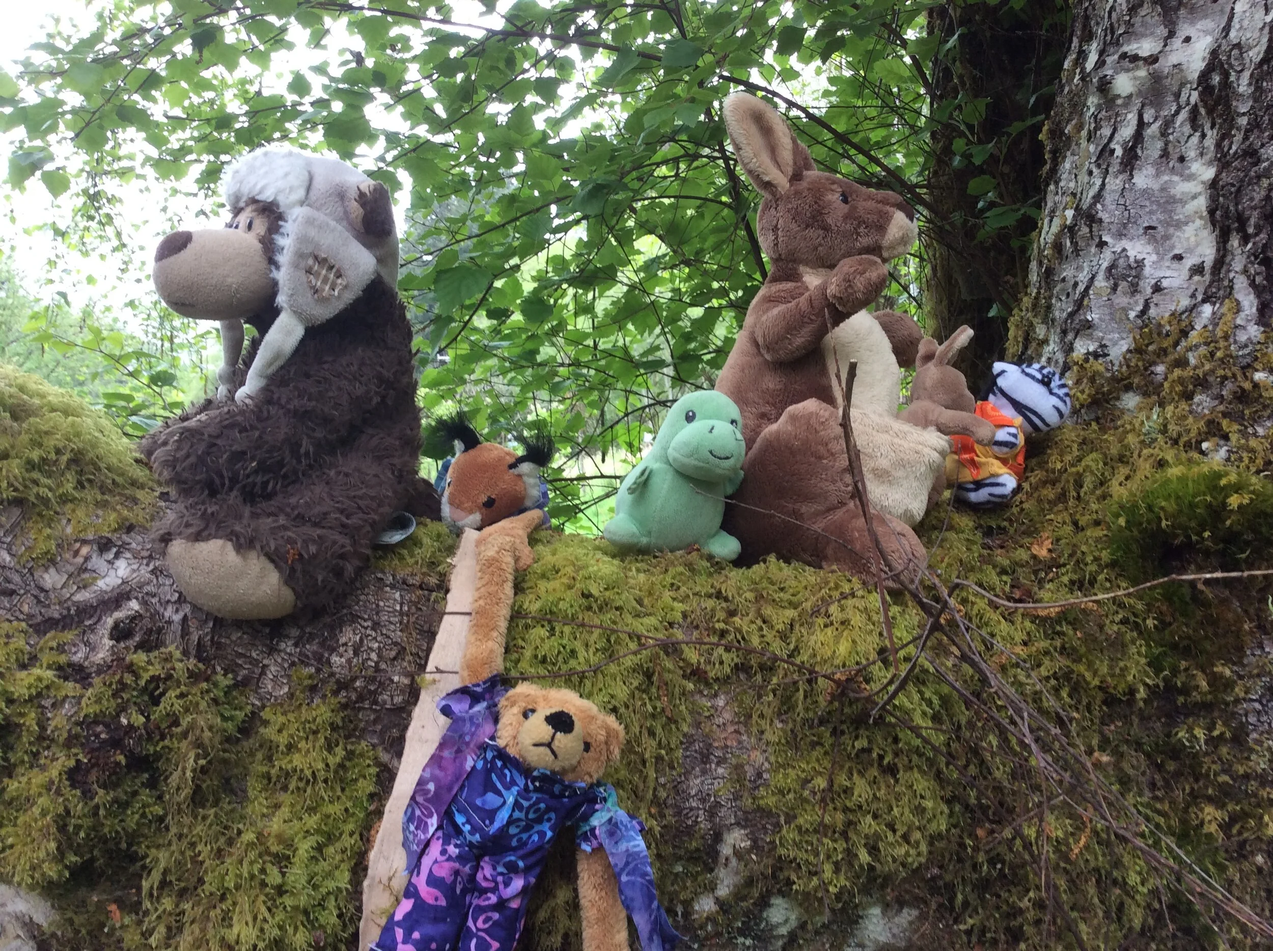 Hey!   We Were Promised a Fairy Tea!