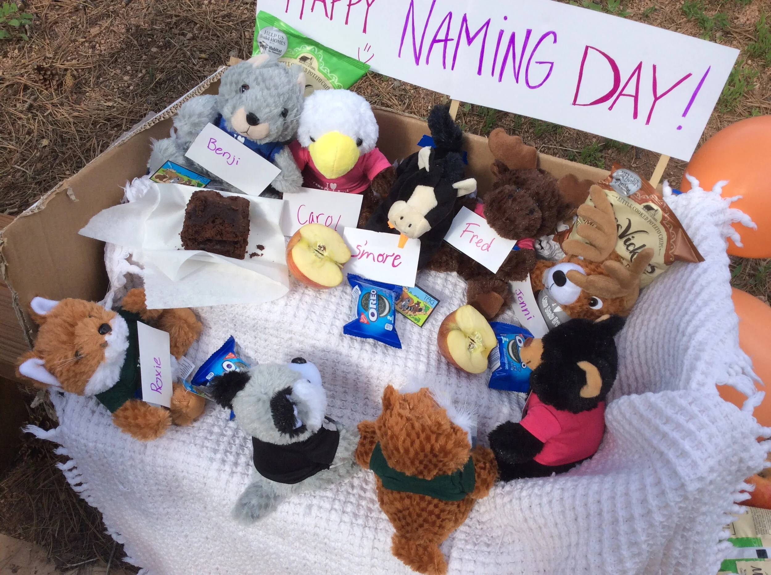 Deckers Gets a Naming Party Beyond Belief!