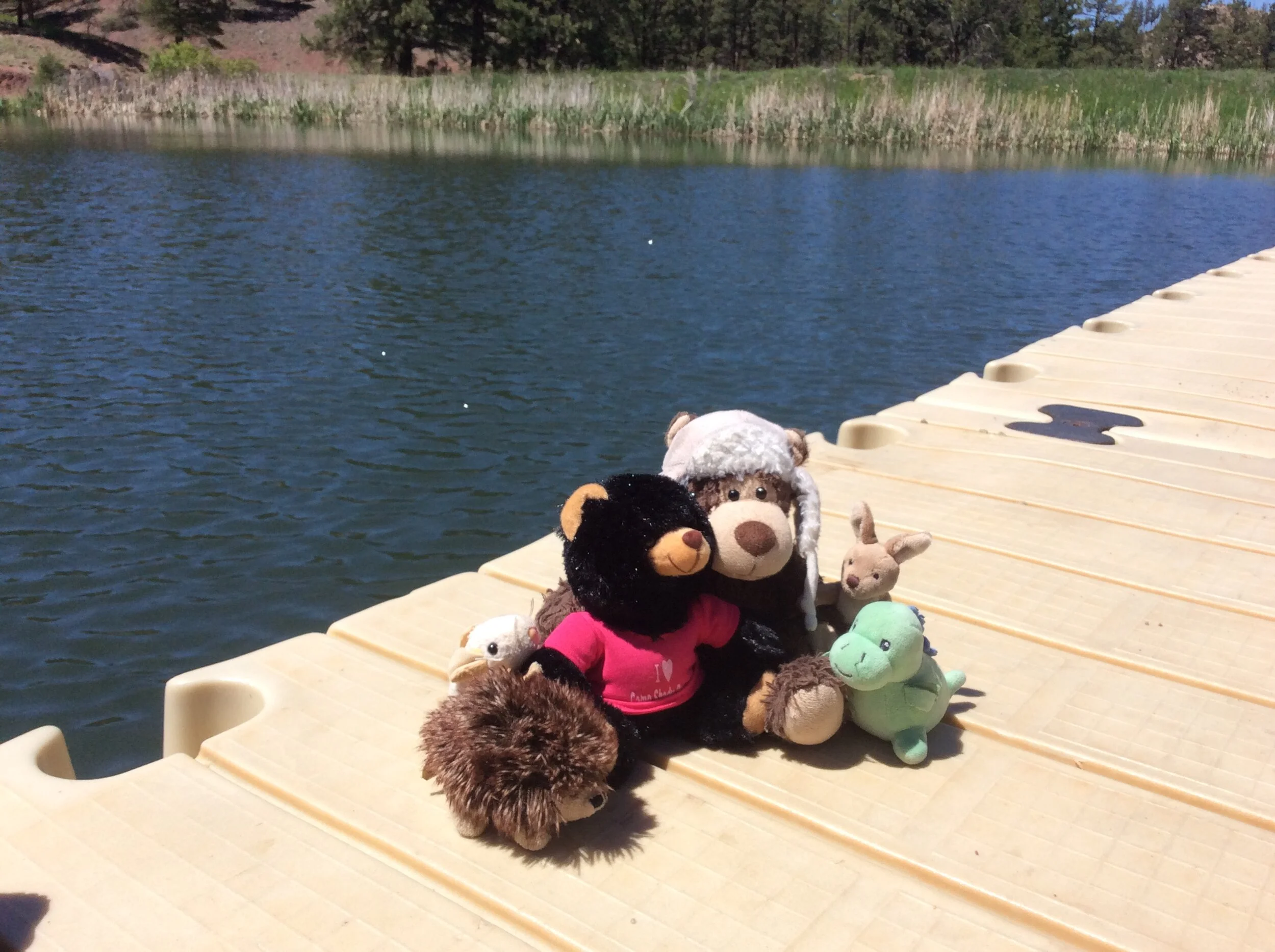 Visit to the Lake Goes Swimmingly 