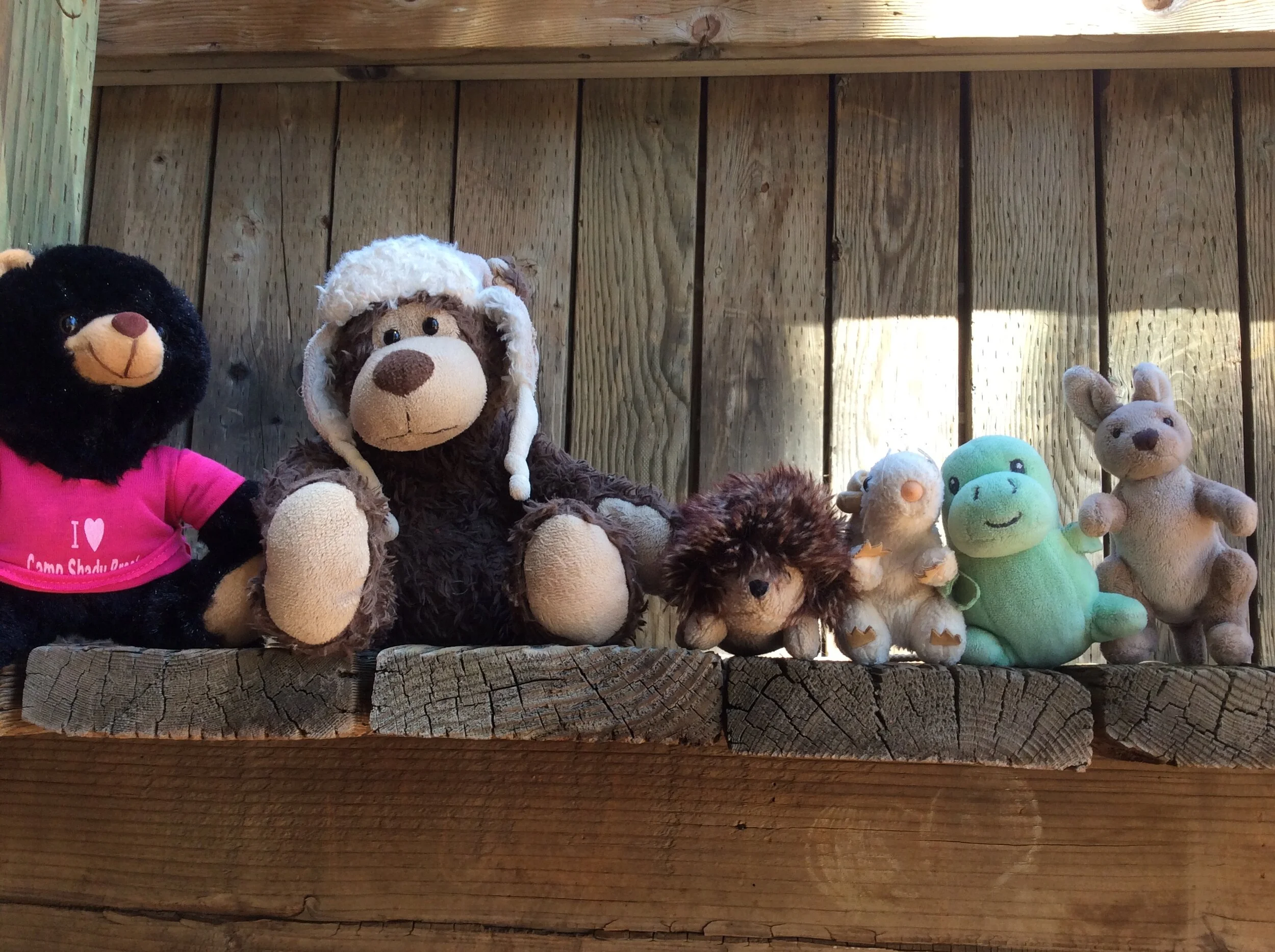 Hanging Out at the High Ropes