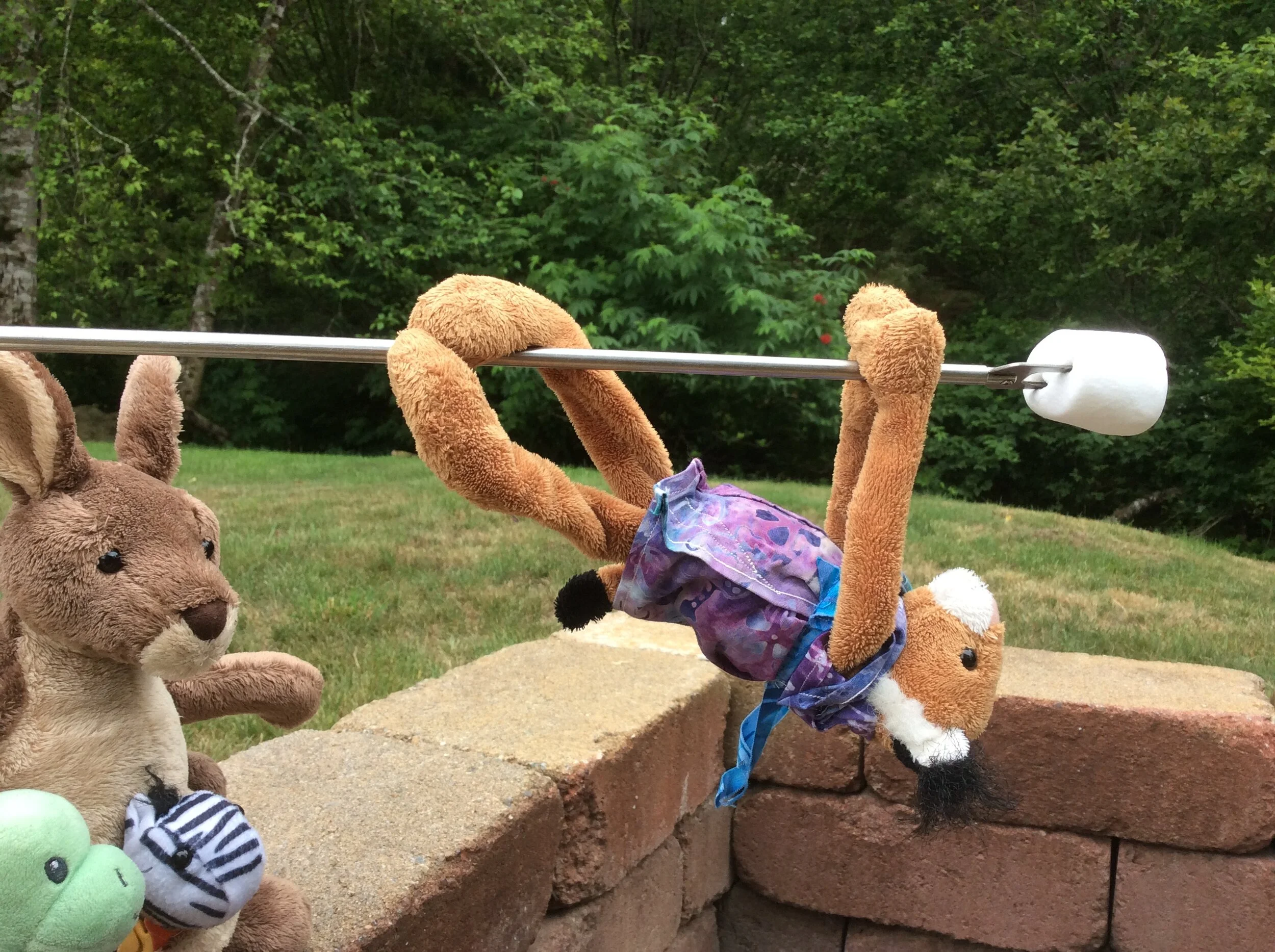 Some Friends DO Get S'mores