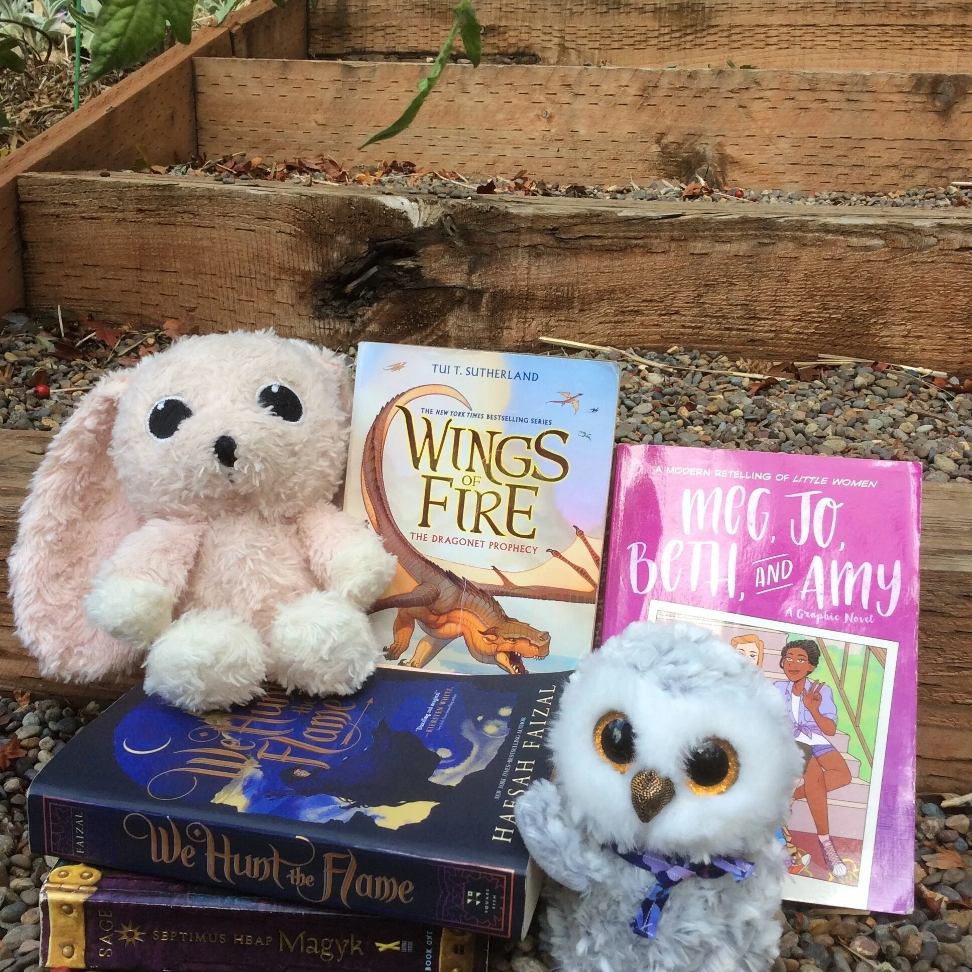 Fall= Walks in the Woods, Apple Cider, and a Good Book...