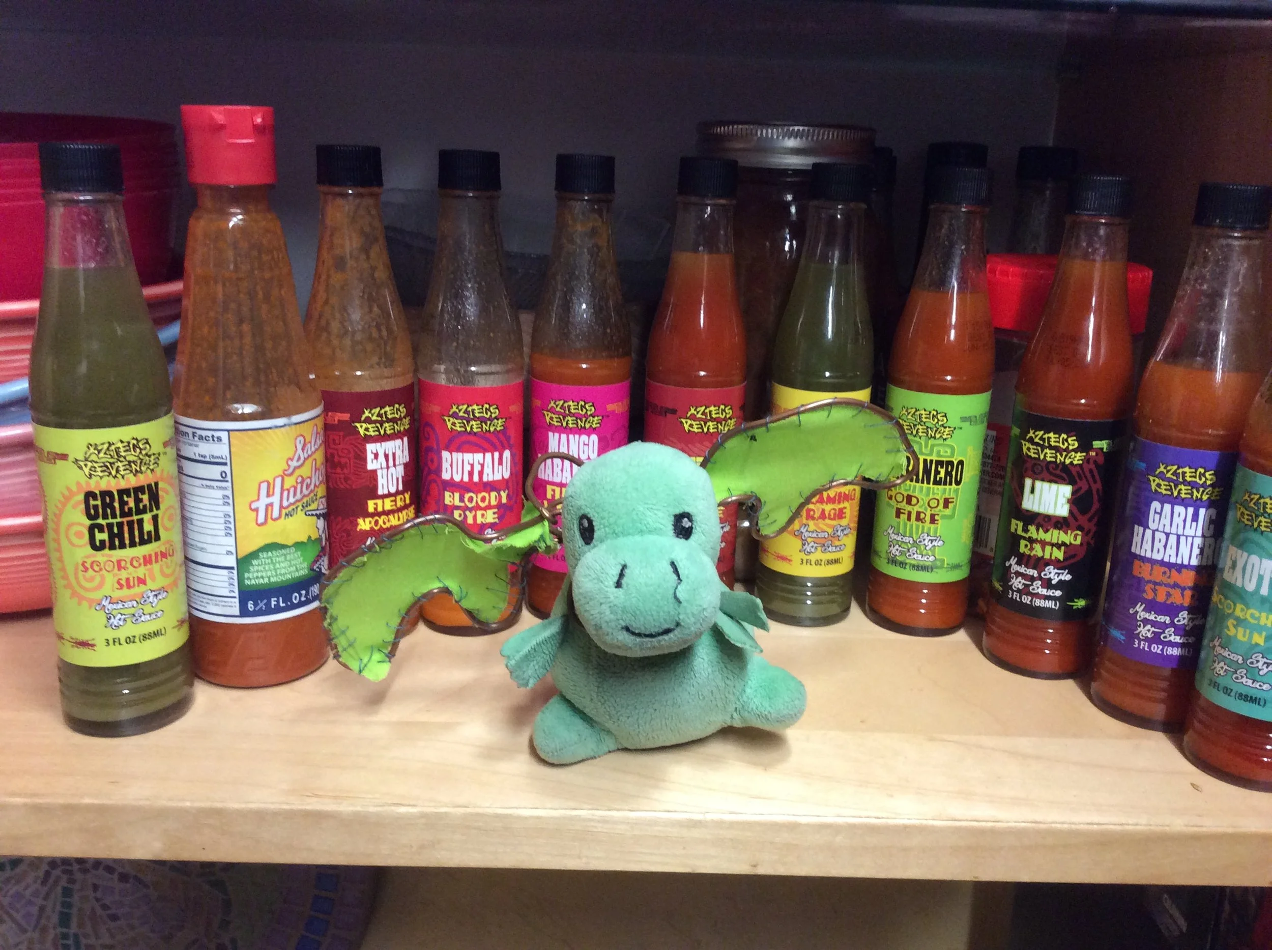 Taco's Best Day Ever!