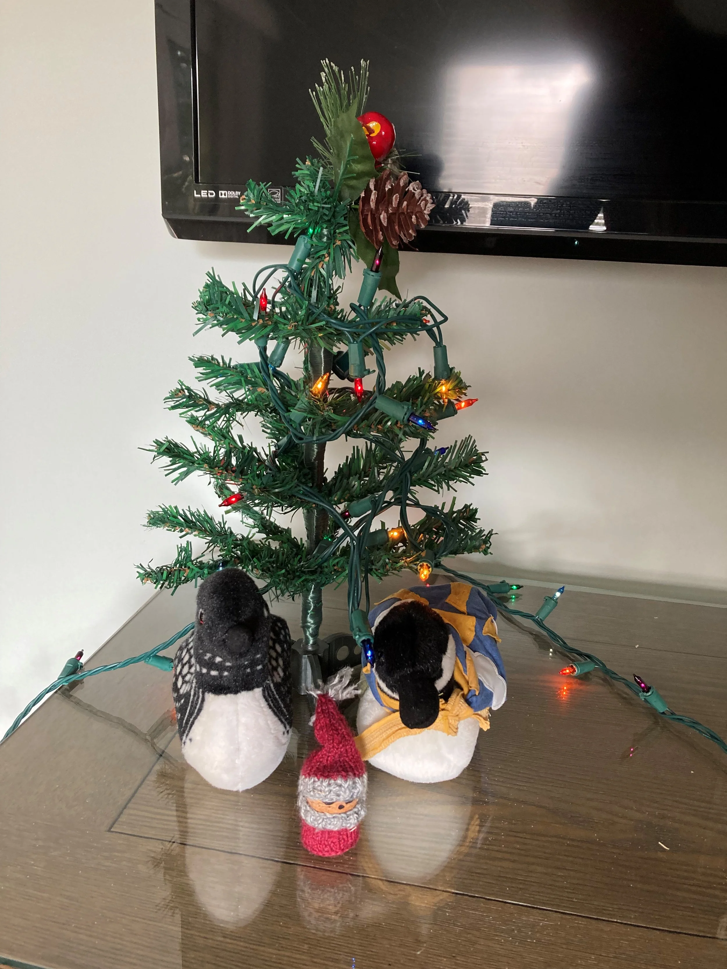 En Plein Air Has a Successful Holiday Season