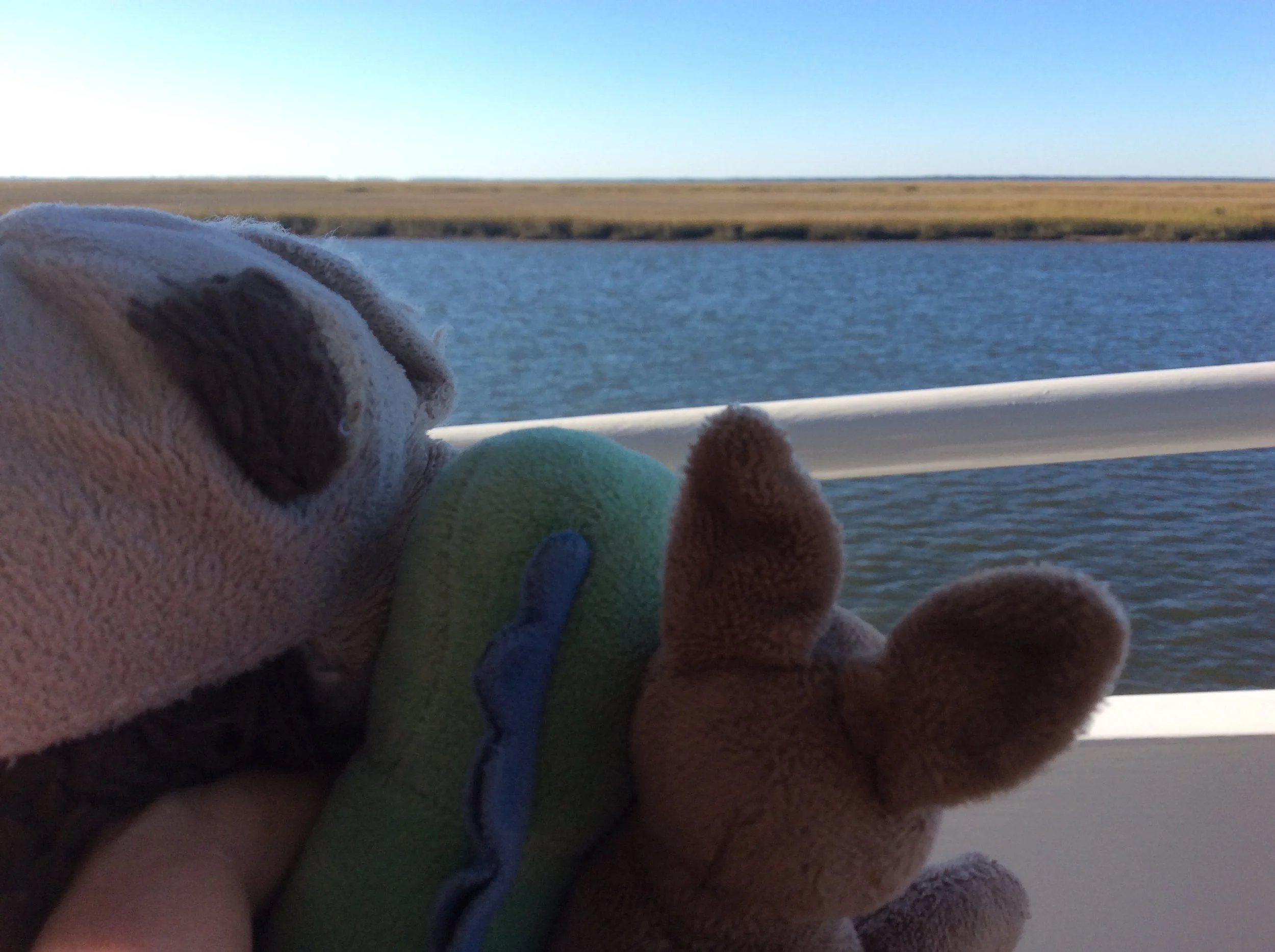 On Island Time... or the Closest Fajita Can Come to it