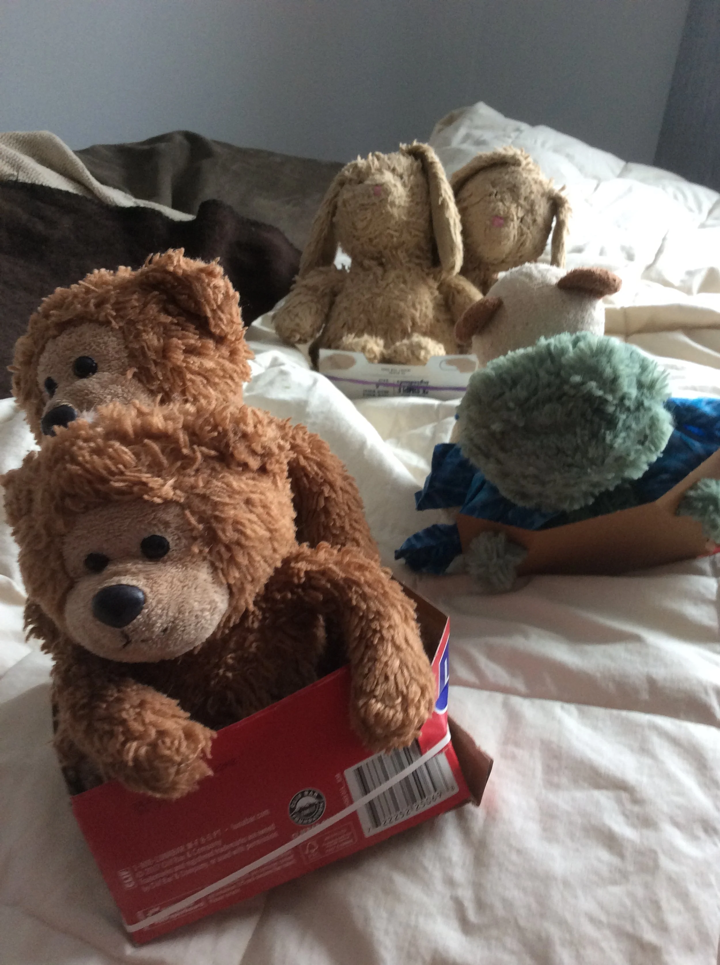 Friends Help Themselves to a Snowy Vacation