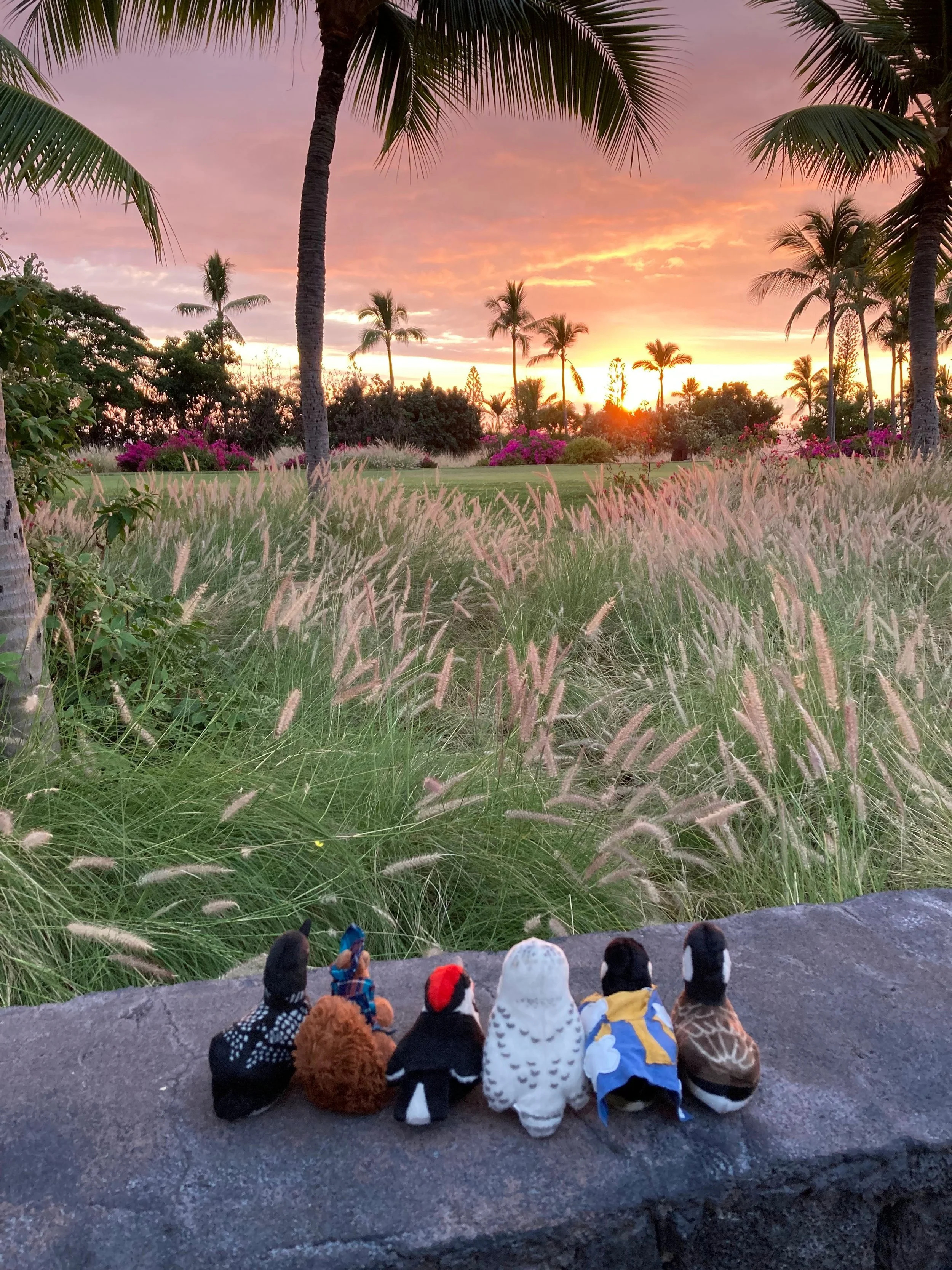 Yard Sale Finally Pays Off for Scottie and Friends