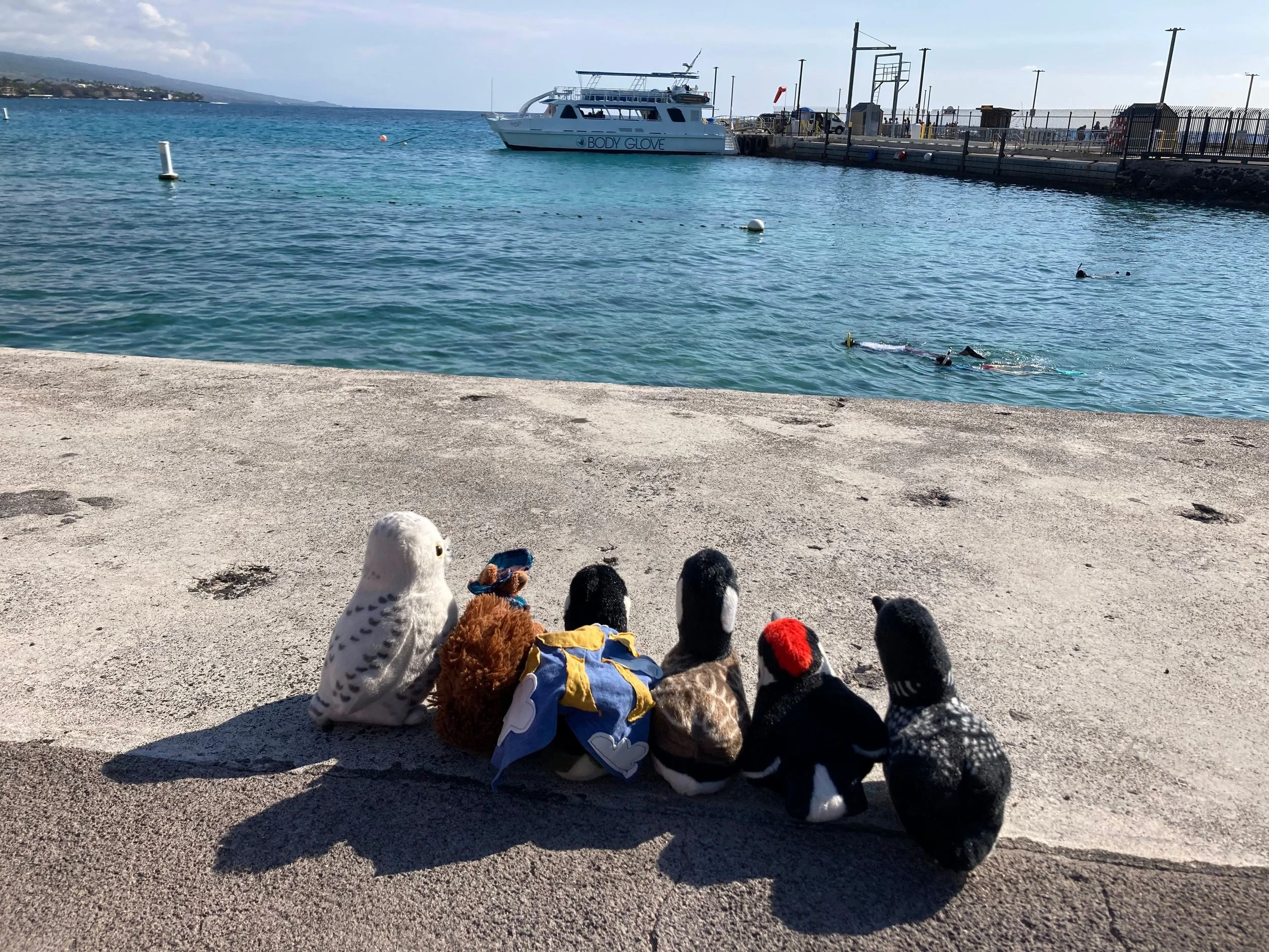 And... Not Working at All