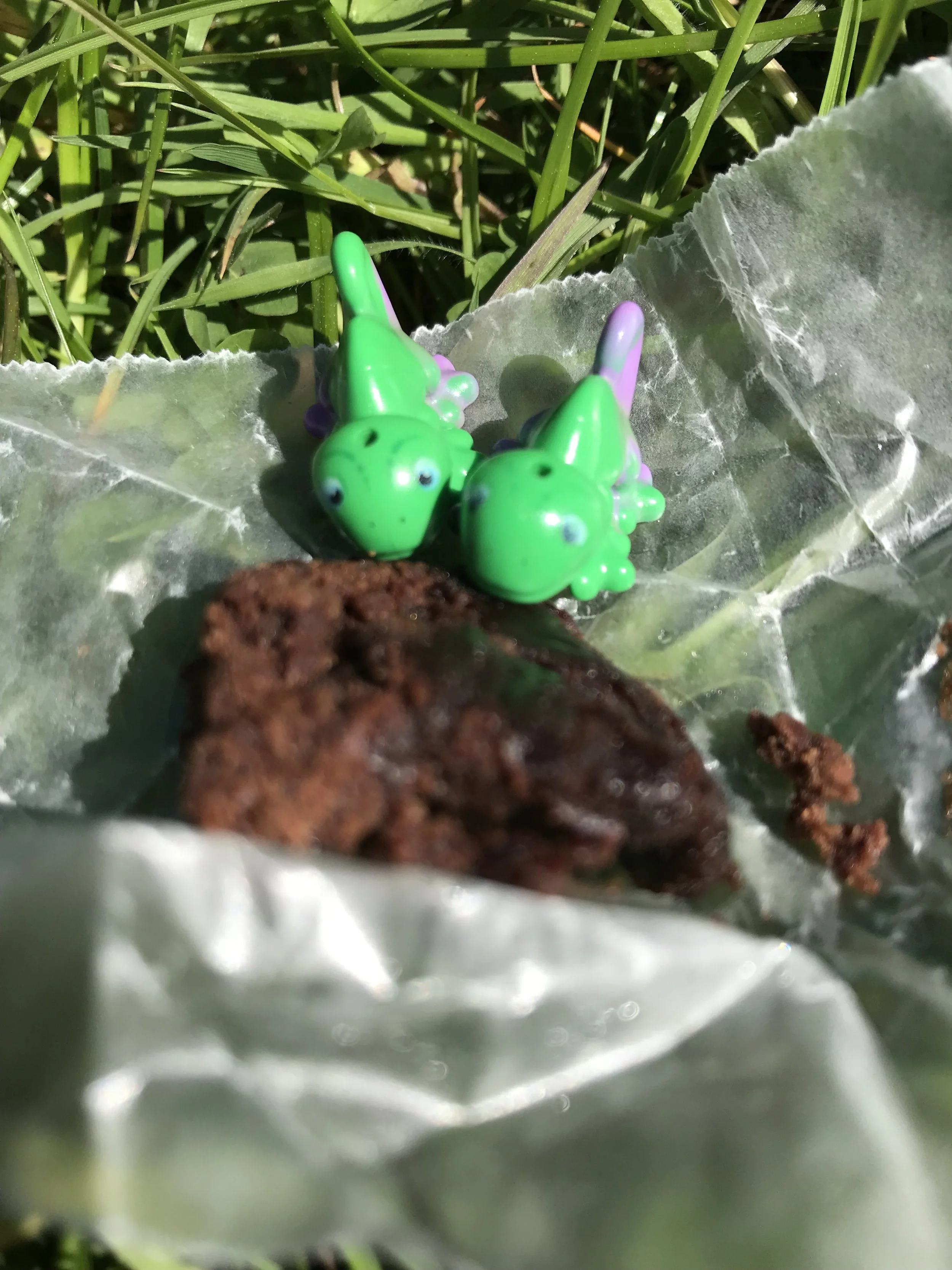 Brownie Bears Adventures Has a Successful Launch