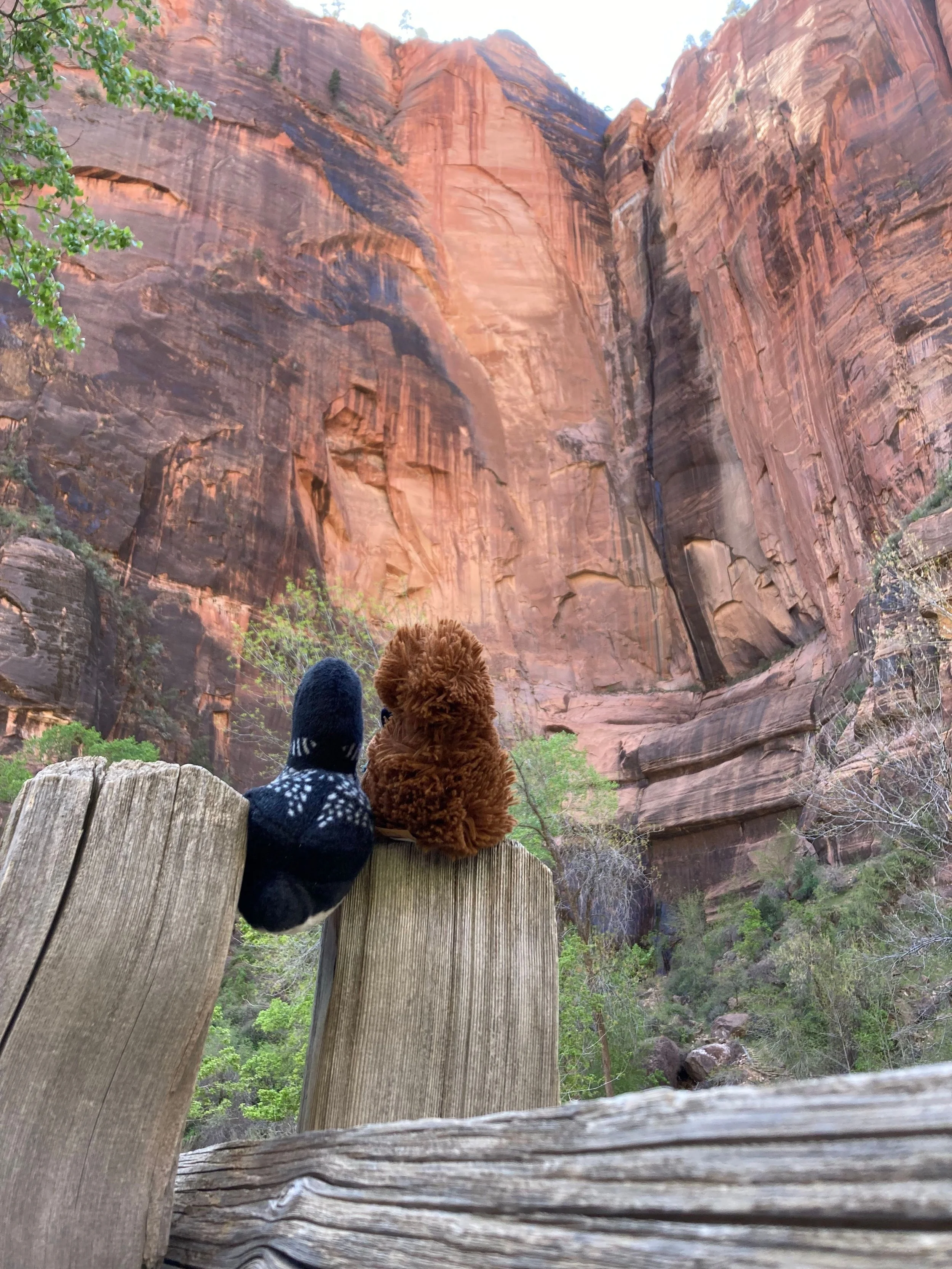 Scottie and Amelia Fly South