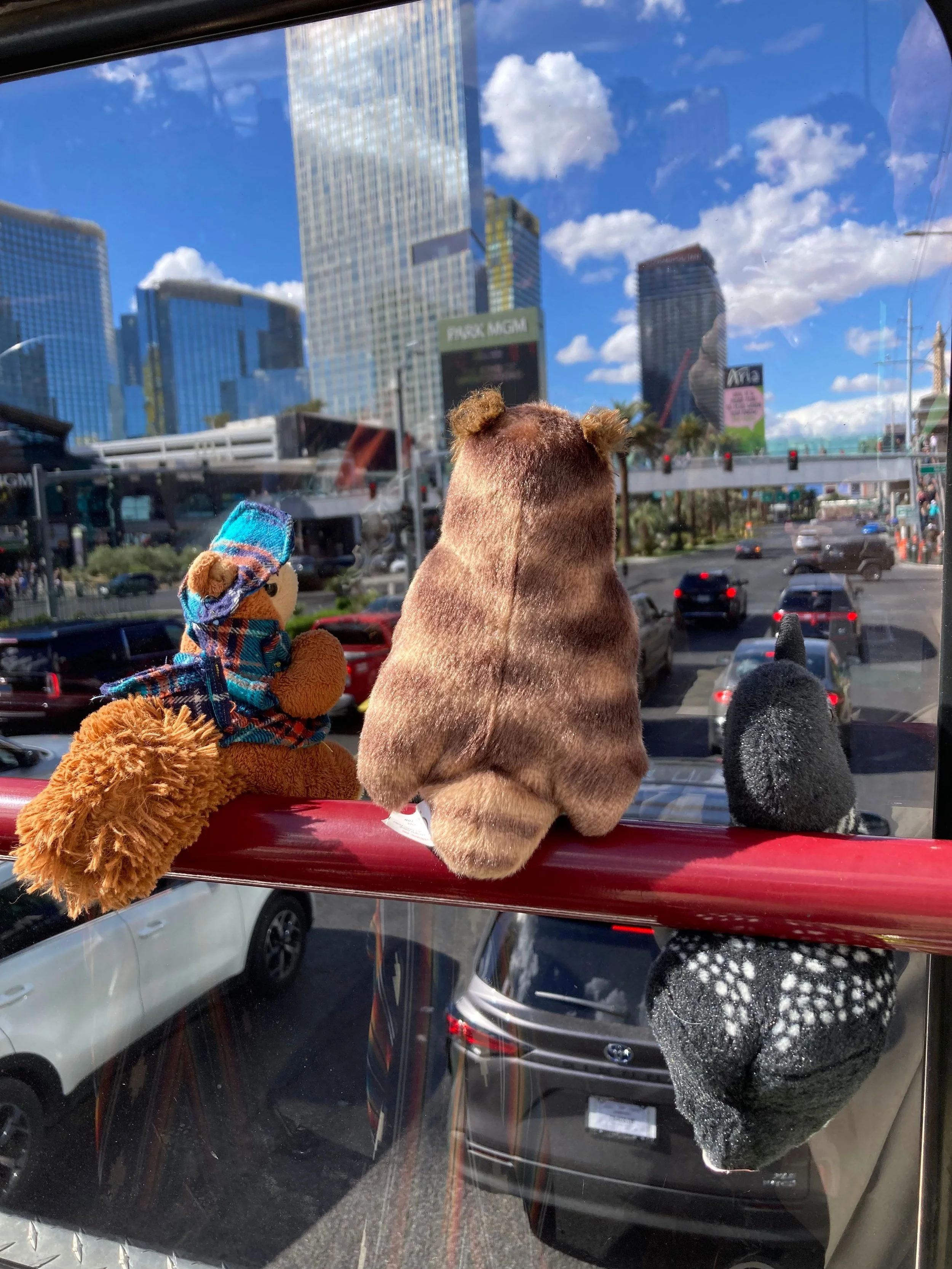 Living it Up in Las Vegas