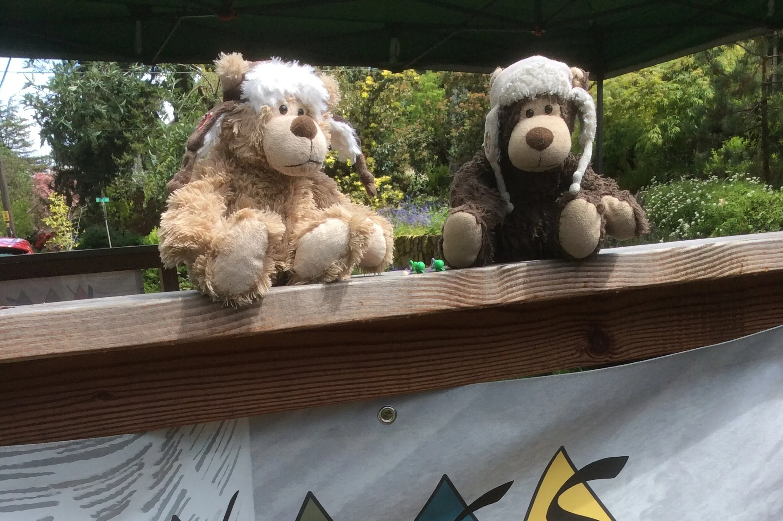 Yeti &amp; S'mores Make Some Dubious Plans