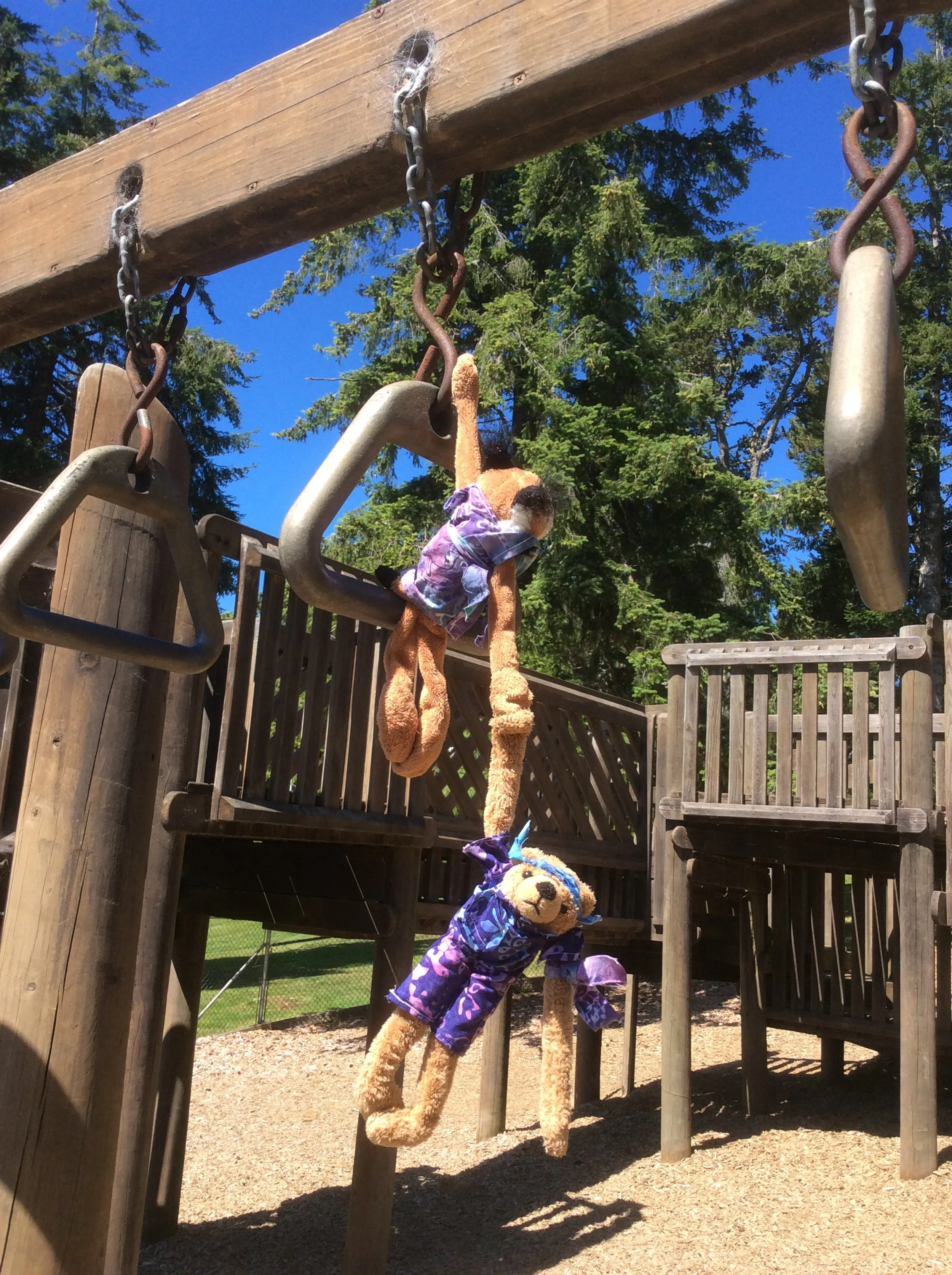 Snitch and Twitch- Stunt Doubles to the Stars