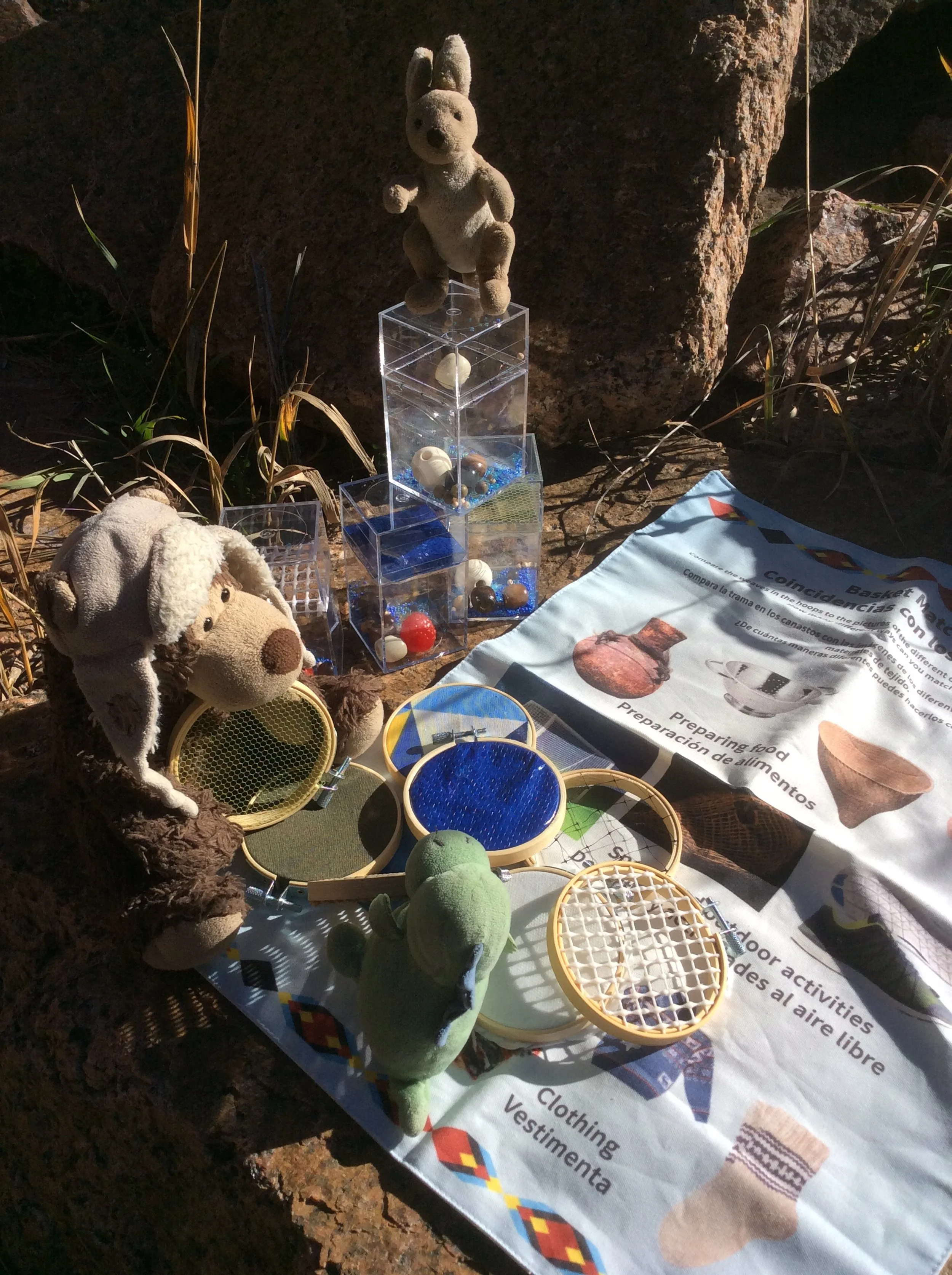 Fajita Has More Questions than Answers