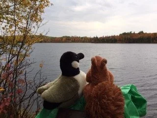 Tips for a Successful Thanksgiving Feast