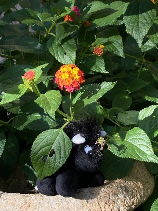 Ferdinand the Bull Joins the Crew