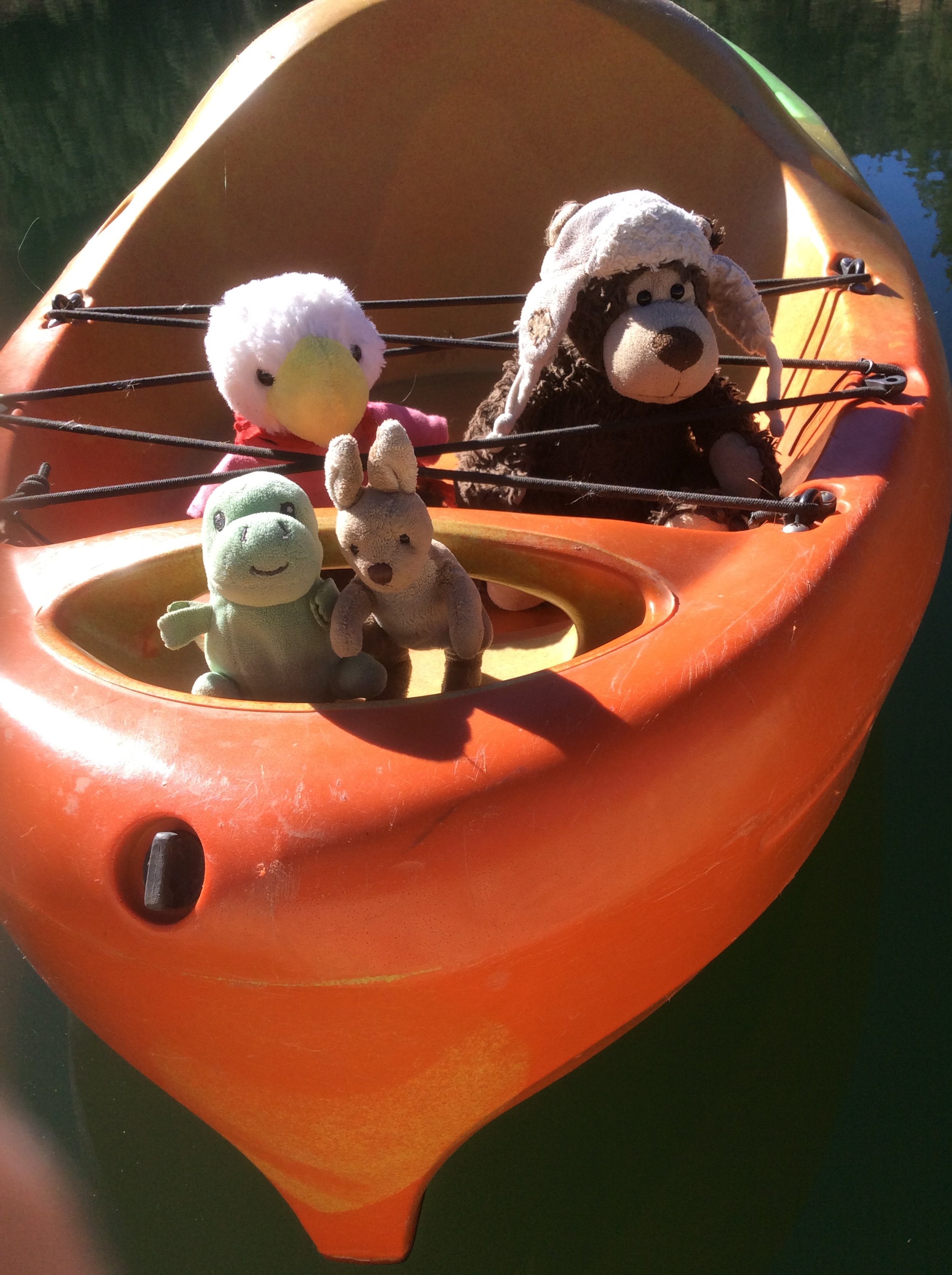 Polar Dip and Unwanted Trip