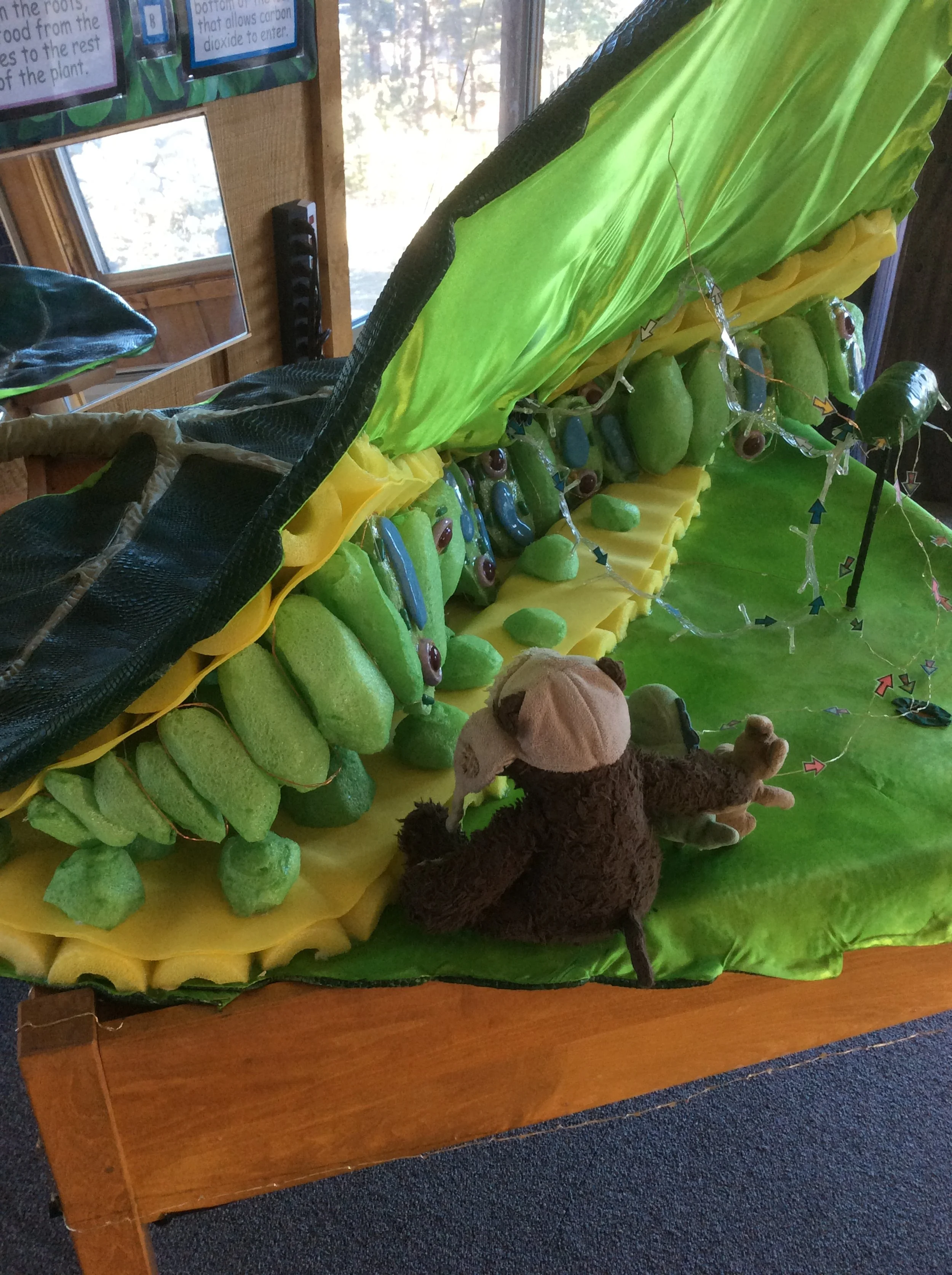 So Much to Learn, So Little Time