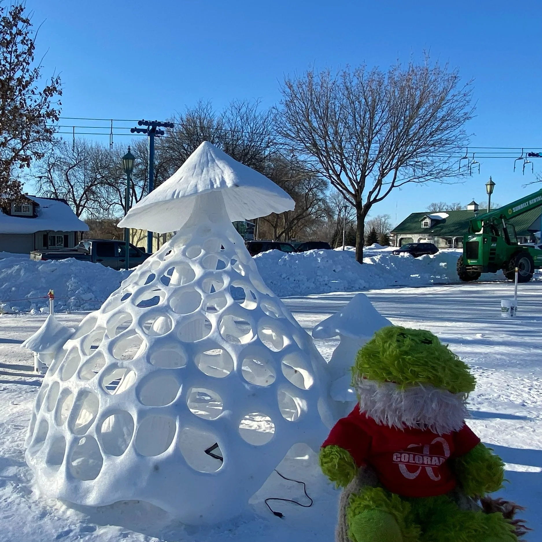 Froggy in a Snowstorm