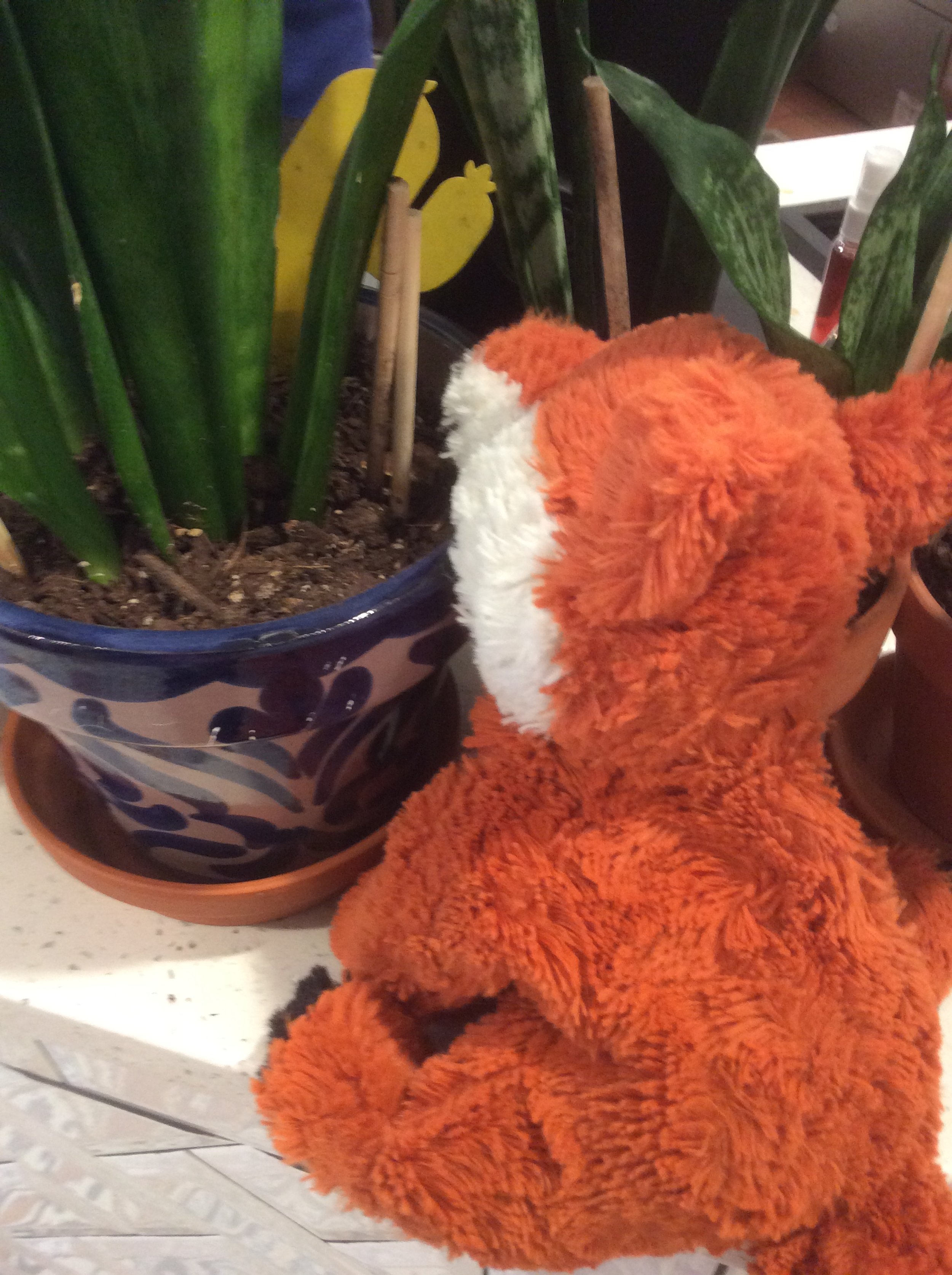 A Field Trip for Sneaks