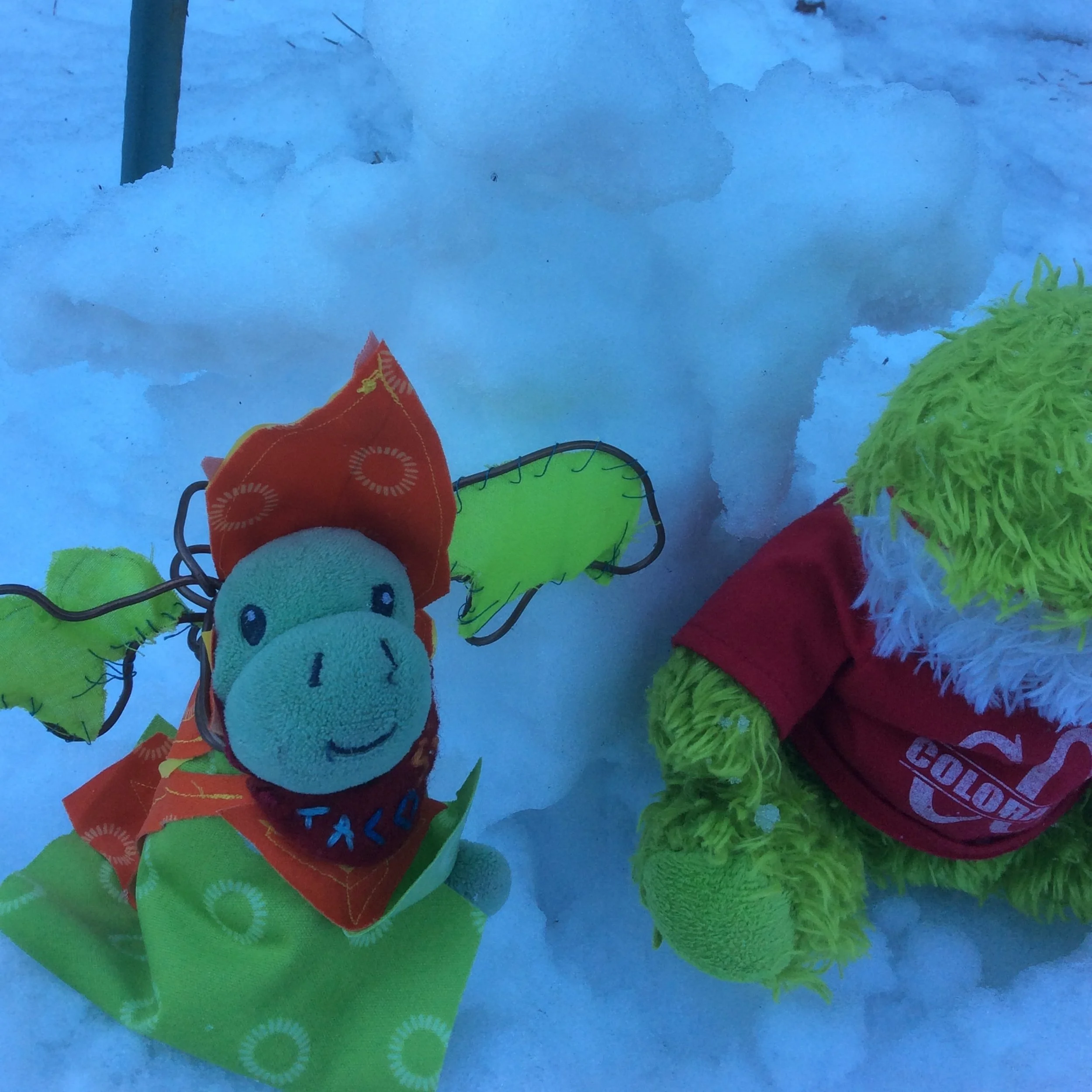 Froggy and Taco Make Snow ART